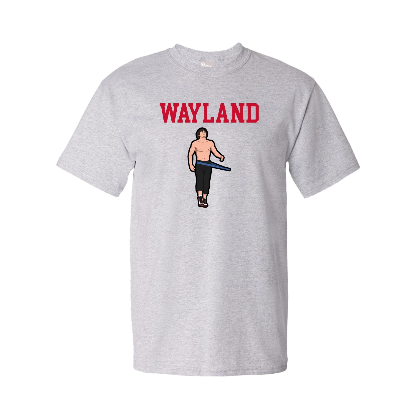 Tee — Shirsey in Grey