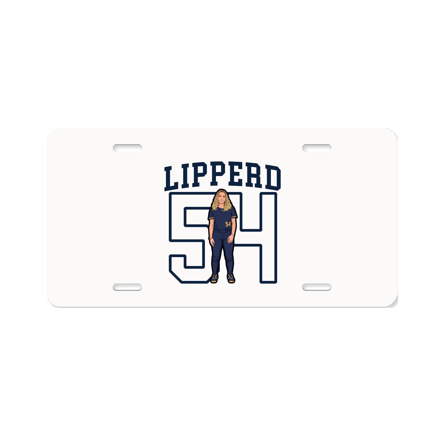Aluminum License Plate