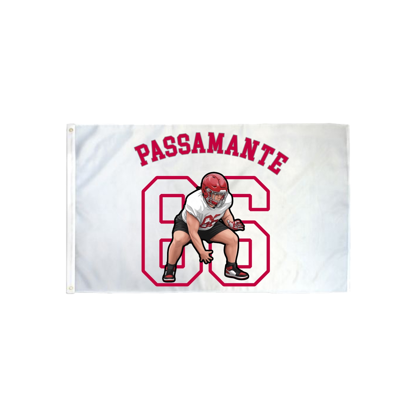 3x5 Flag — Shirsey Arch in Classic