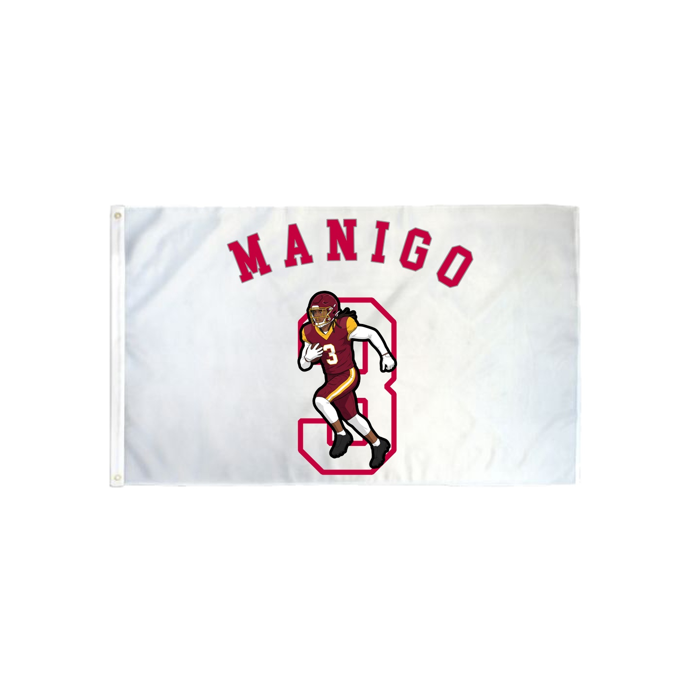 3x5 Flag — Shirsey Arch in Classic