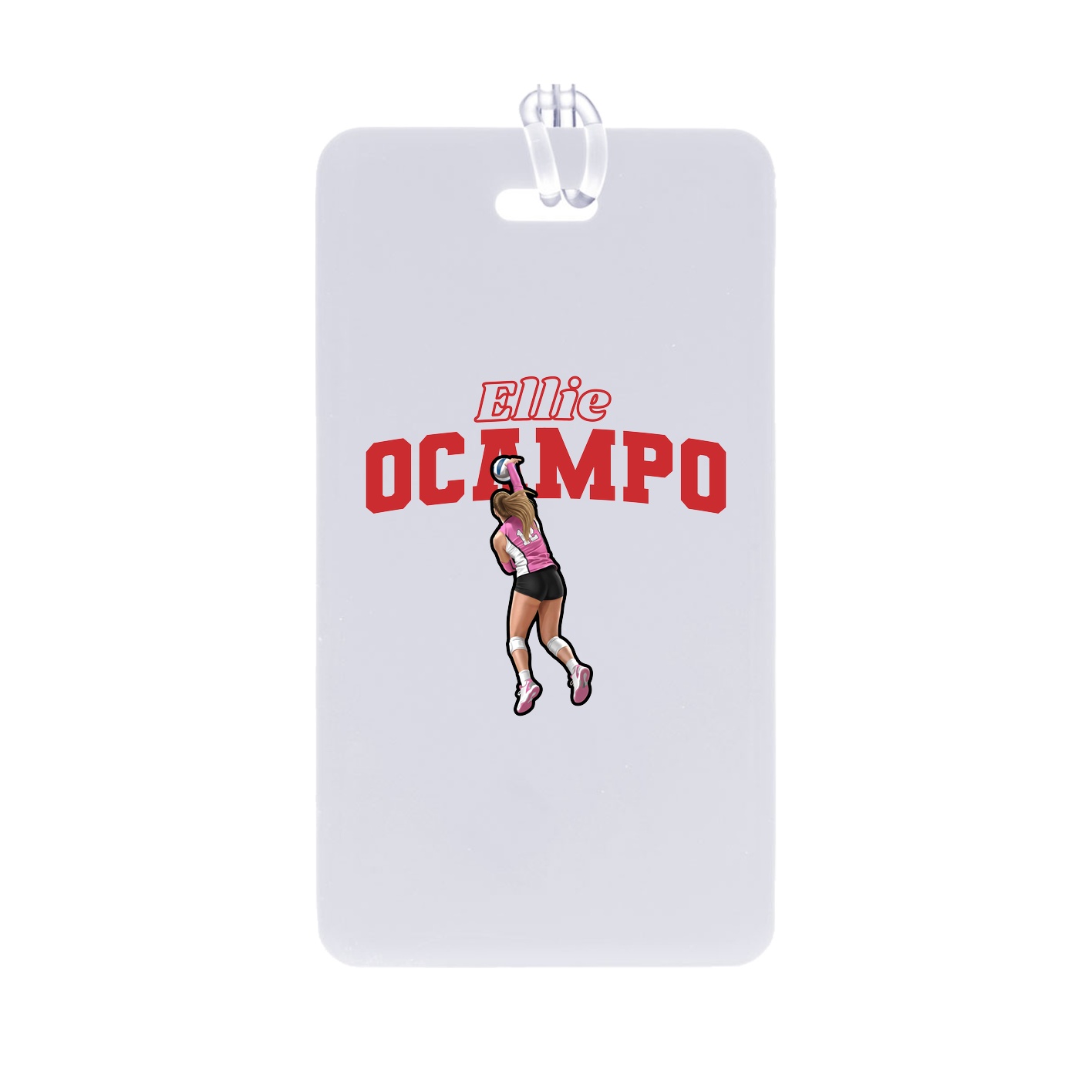 Bag Tag — Name Arch in Classic