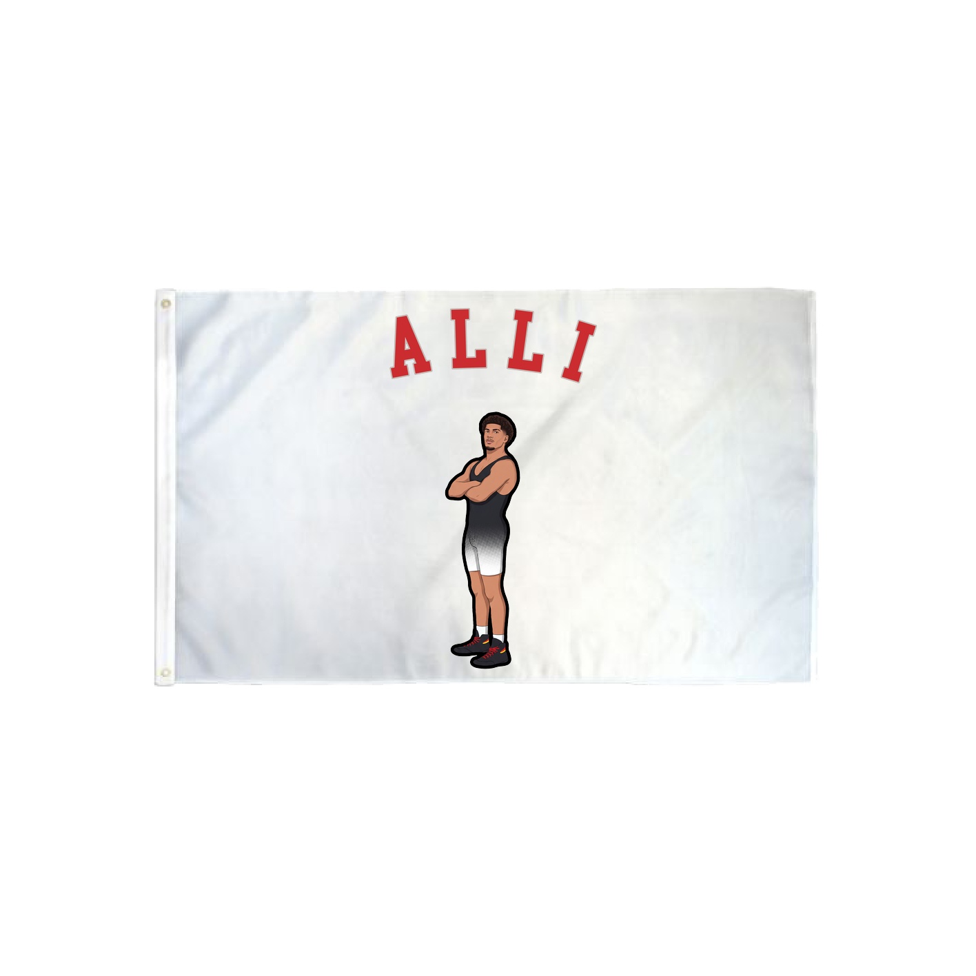 3x5 Flag — Shirsey Arch in Classic