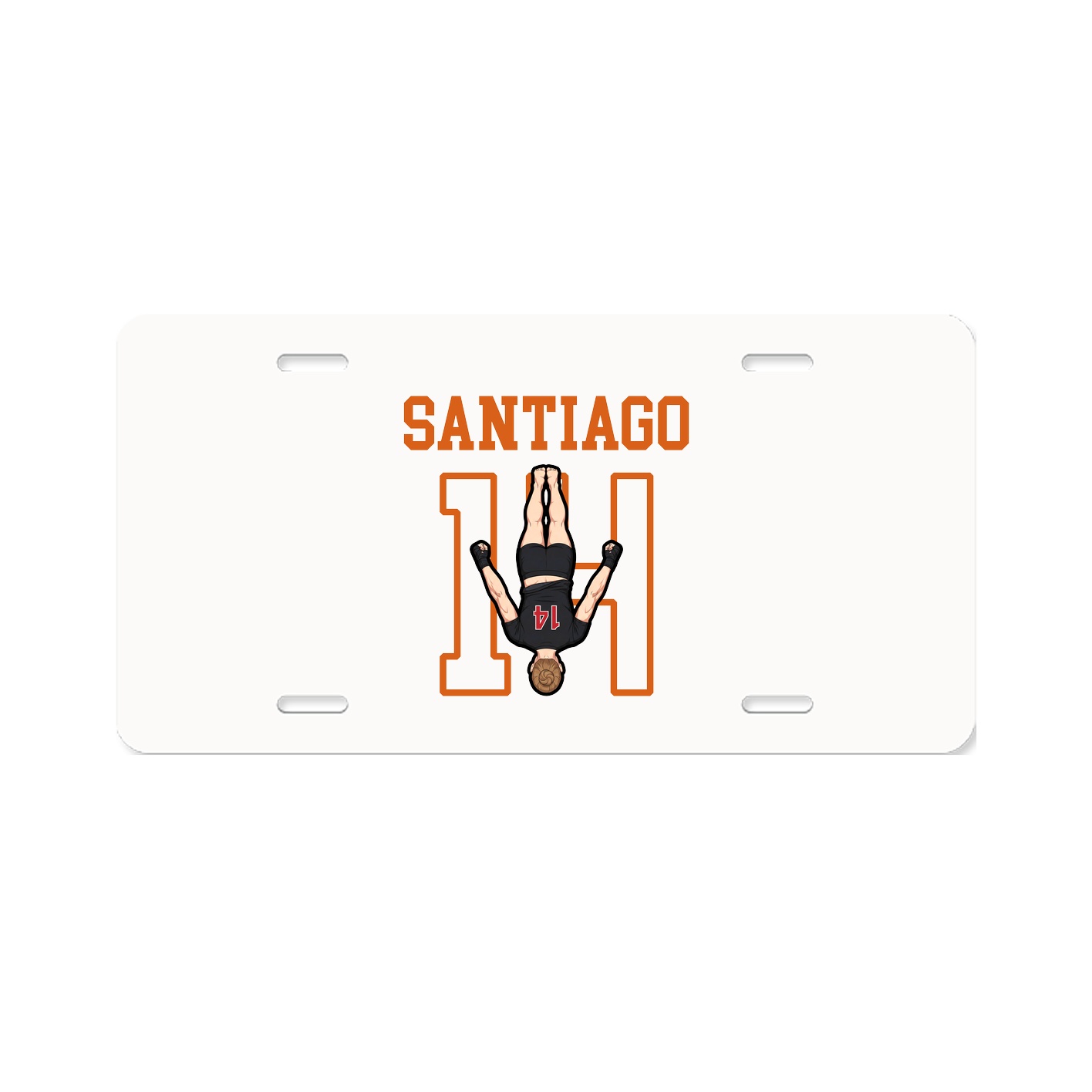 Aluminum License Plate