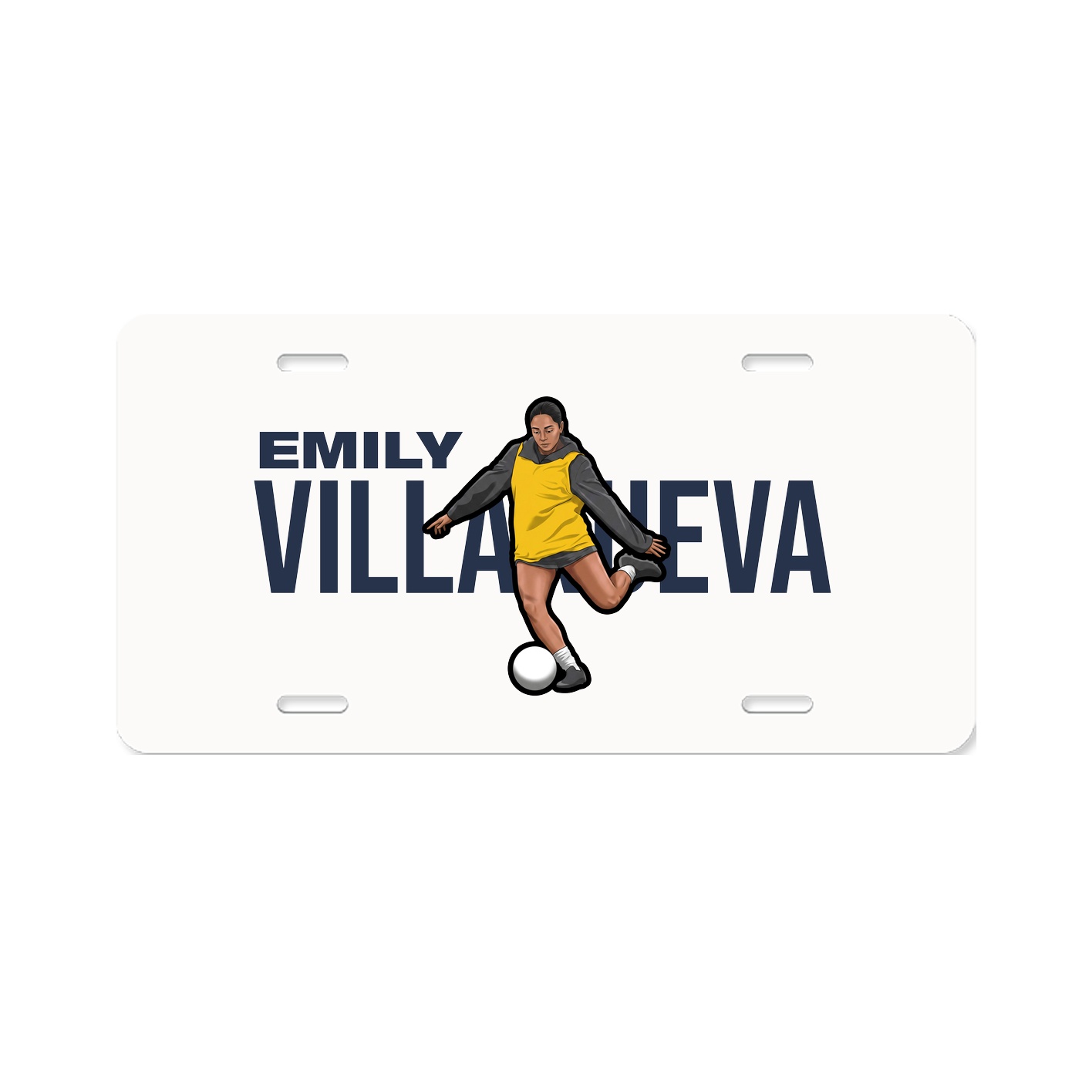 License Plate
