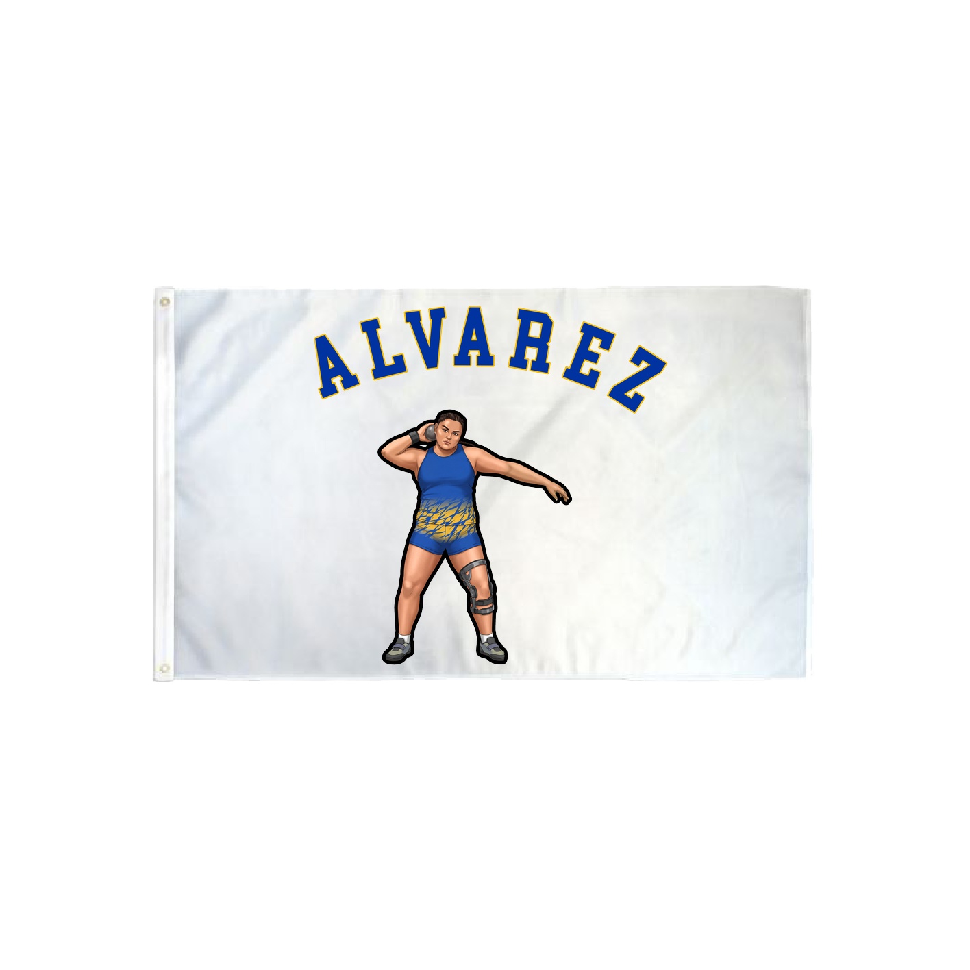 3x5 Flag — Shirsey Arch in Classic