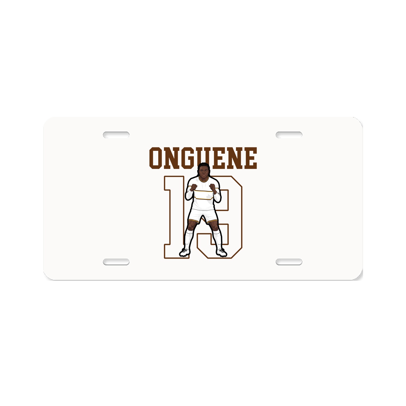 Aluminum License Plate