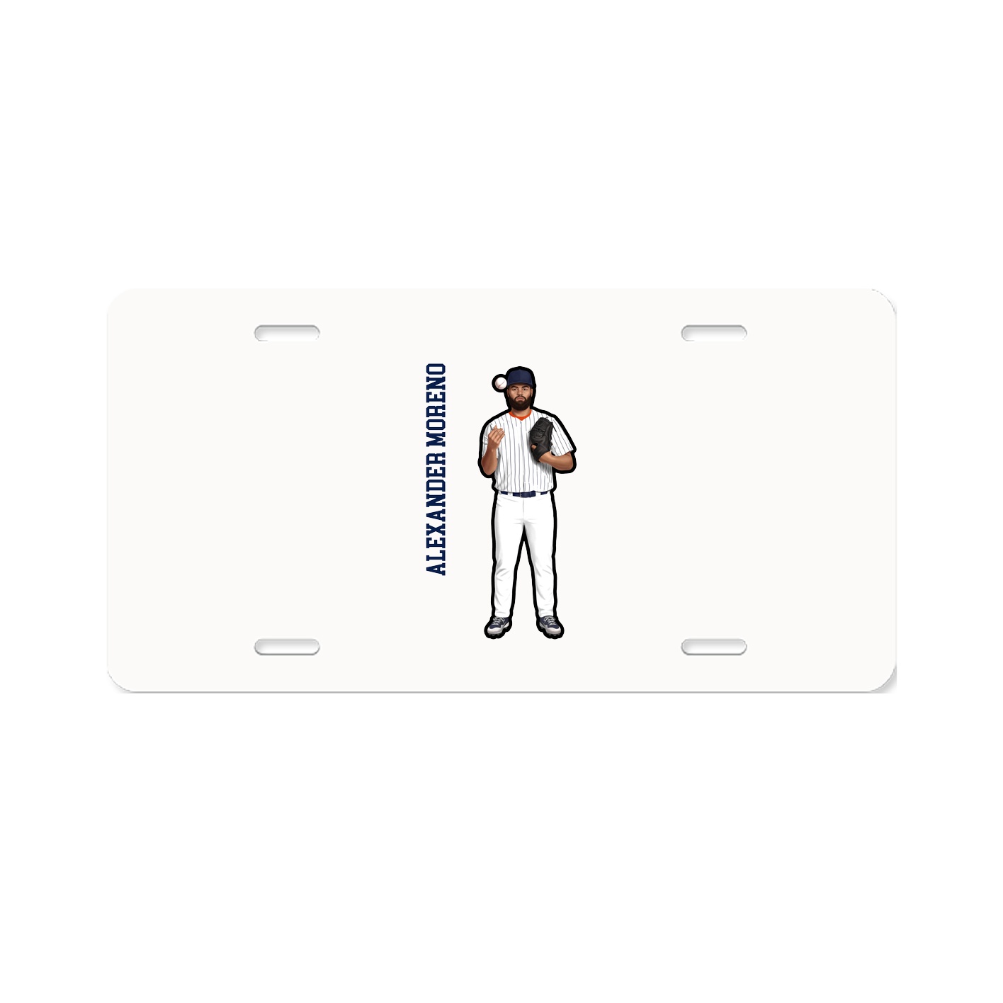 Aluminum License Plate