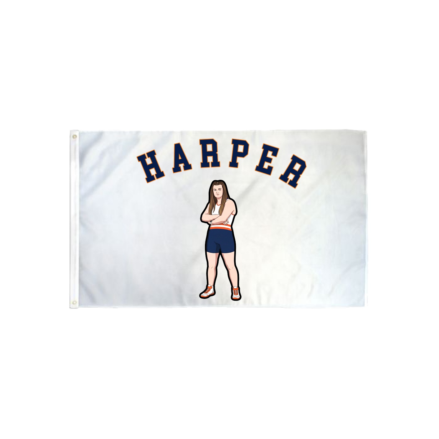 3x5 Flag — Shirsey Arch in Classic