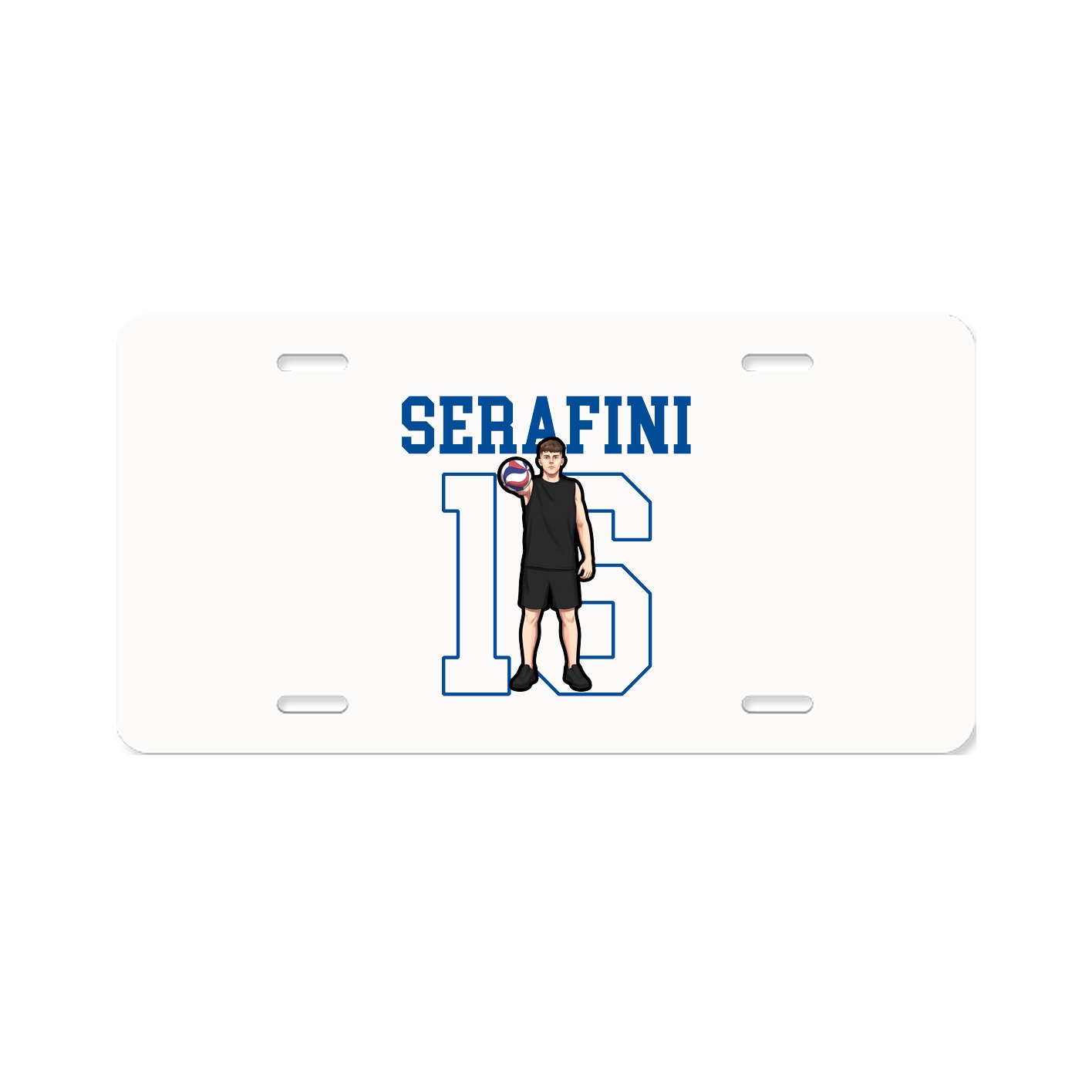 License Plate