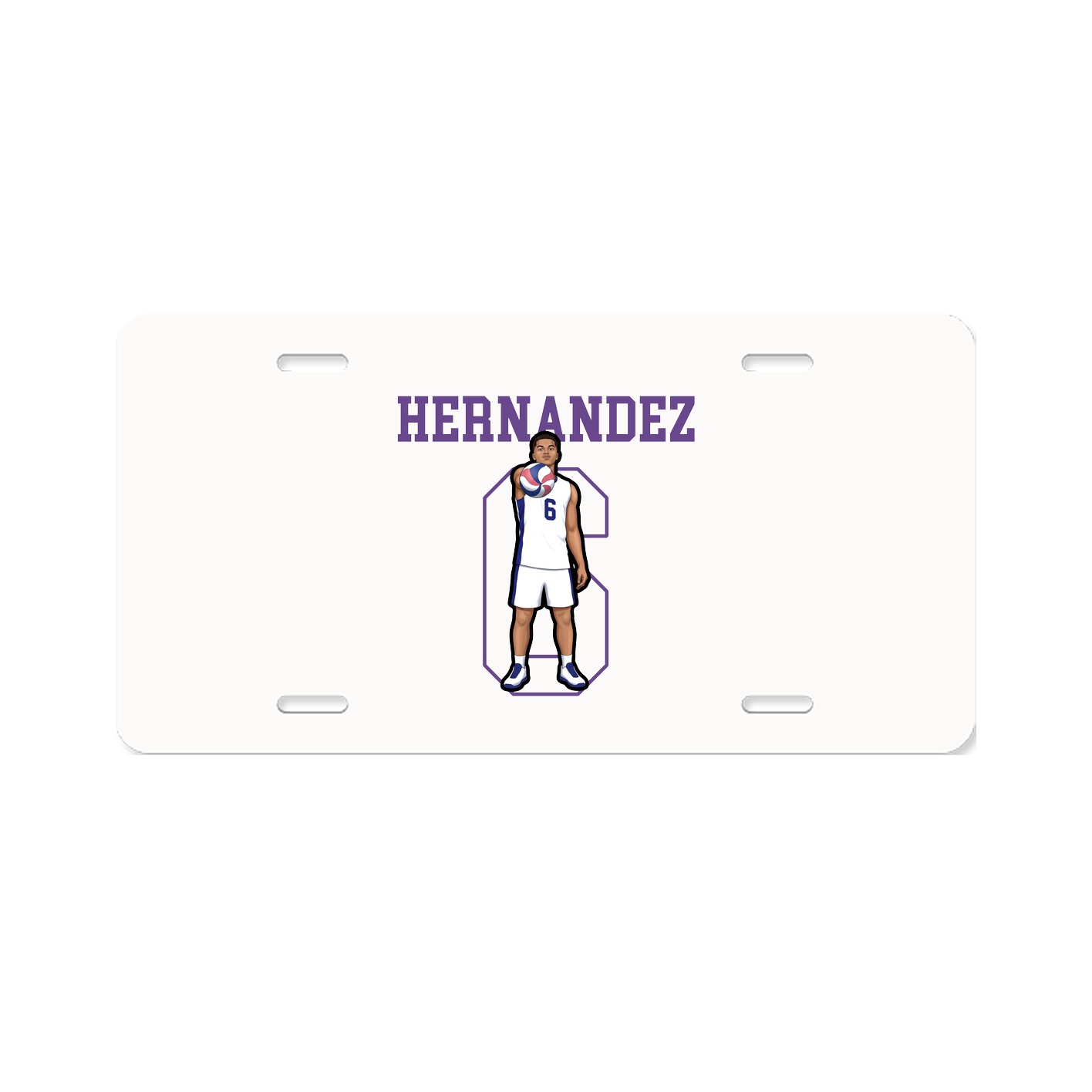 Aluminum License Plate