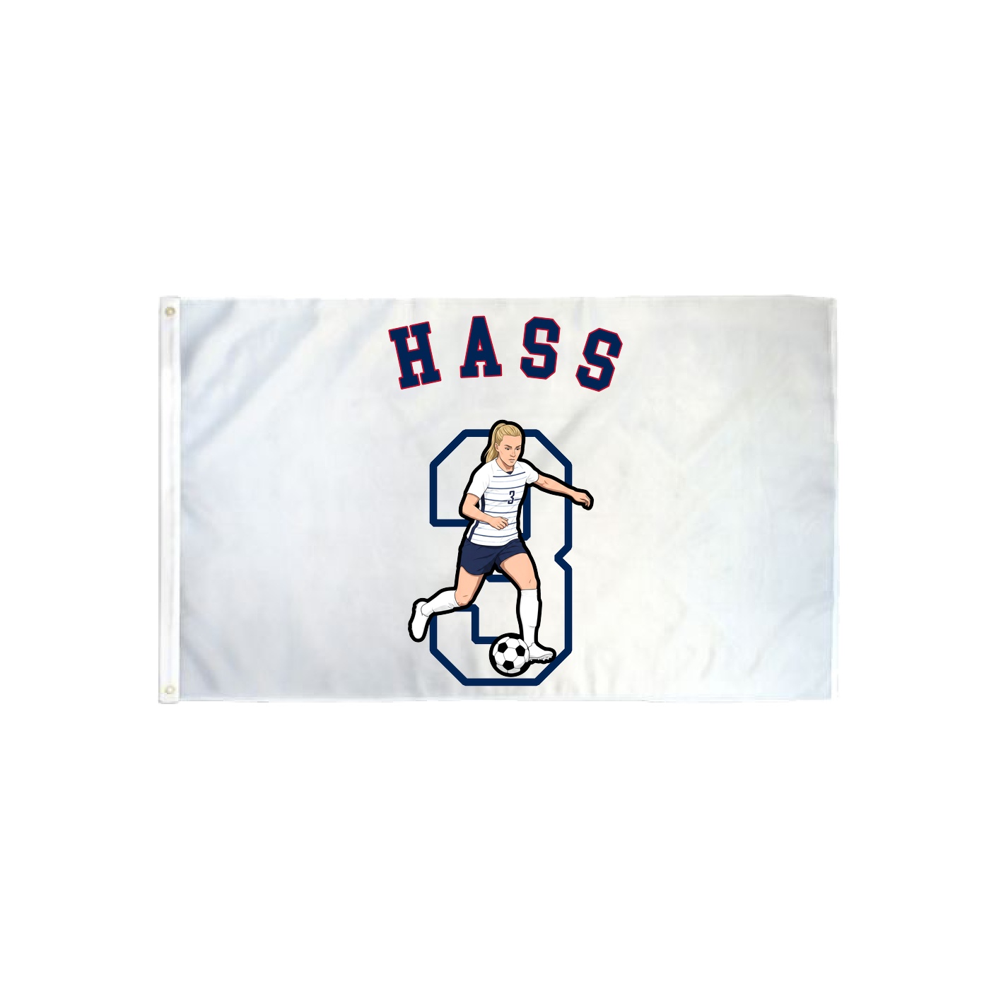 3x5 Flag — Shirsey Arch in Classic