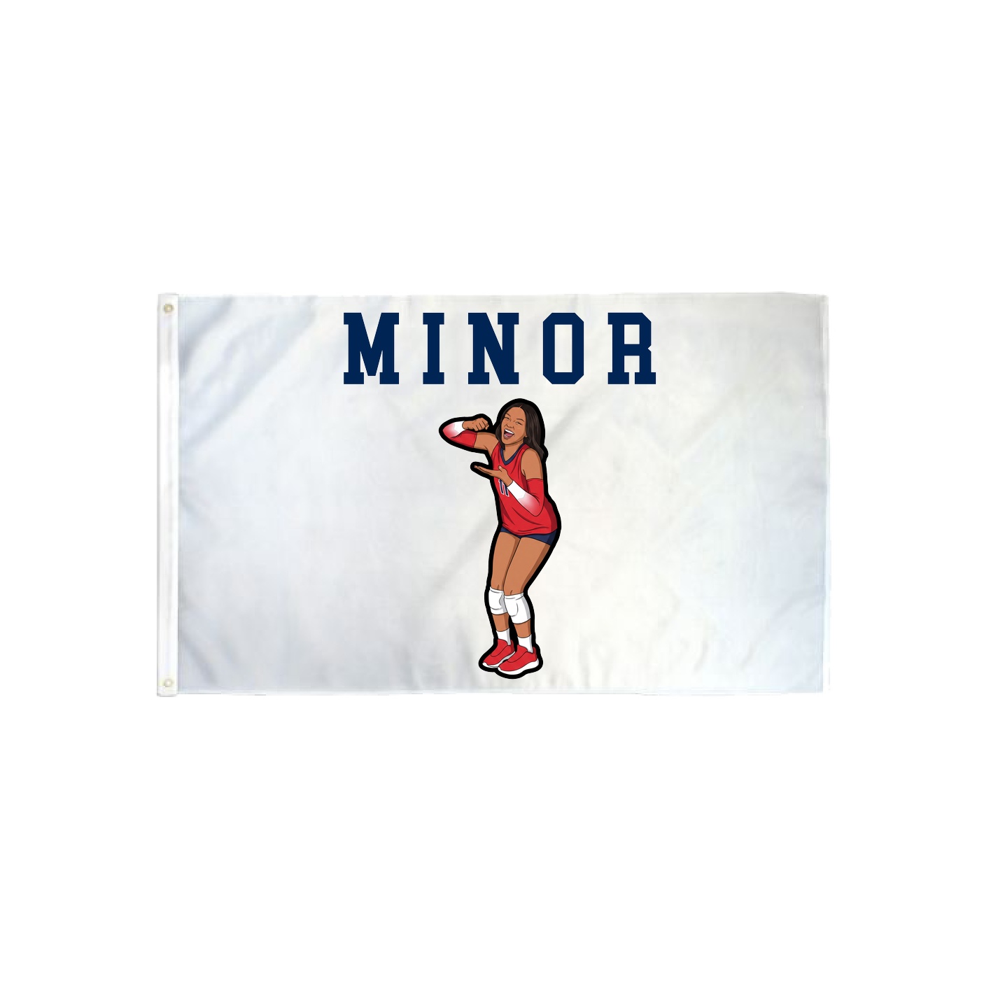 3x5 Flag — Shirsey in Classic