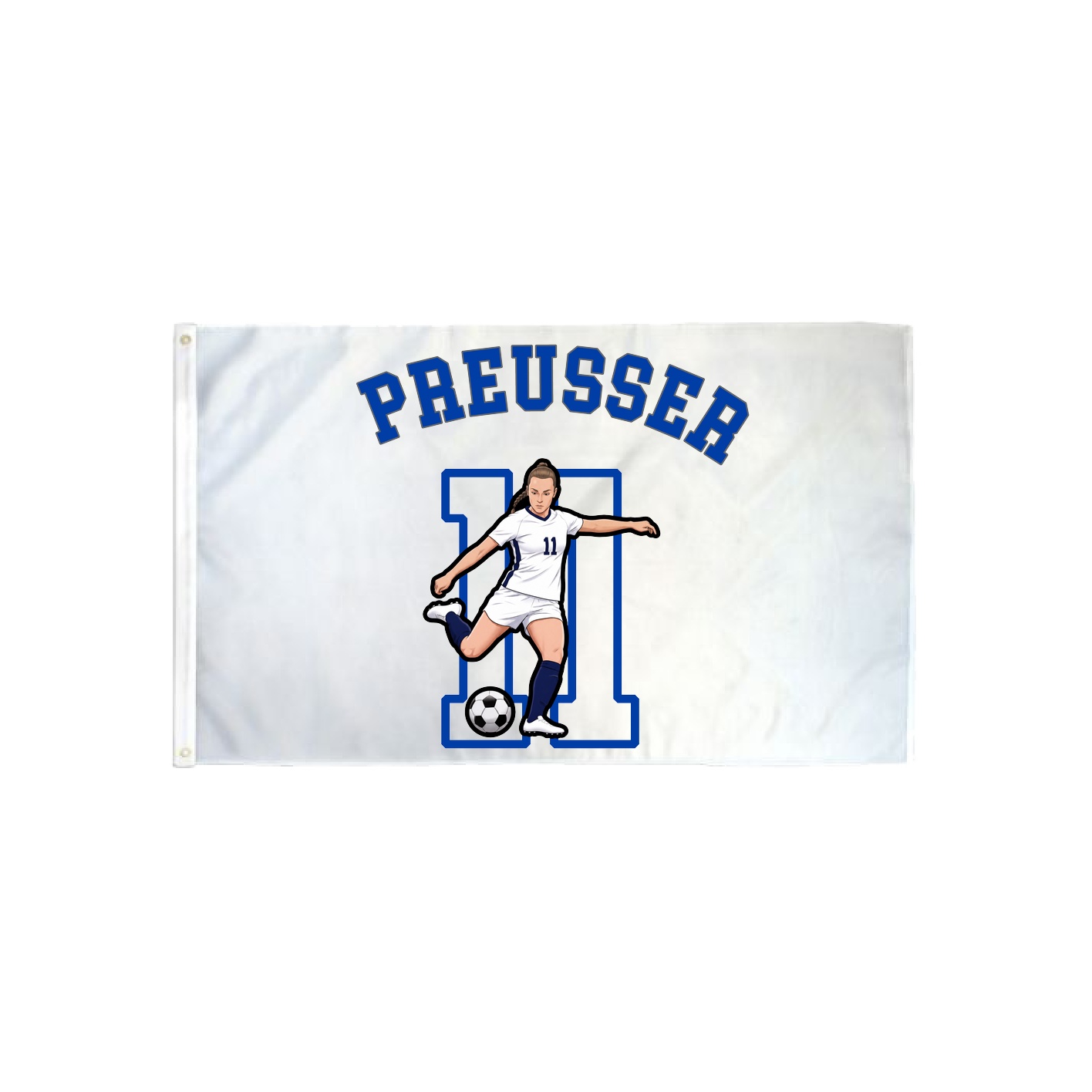 3x5 Flag — Shirsey Arch in Classic