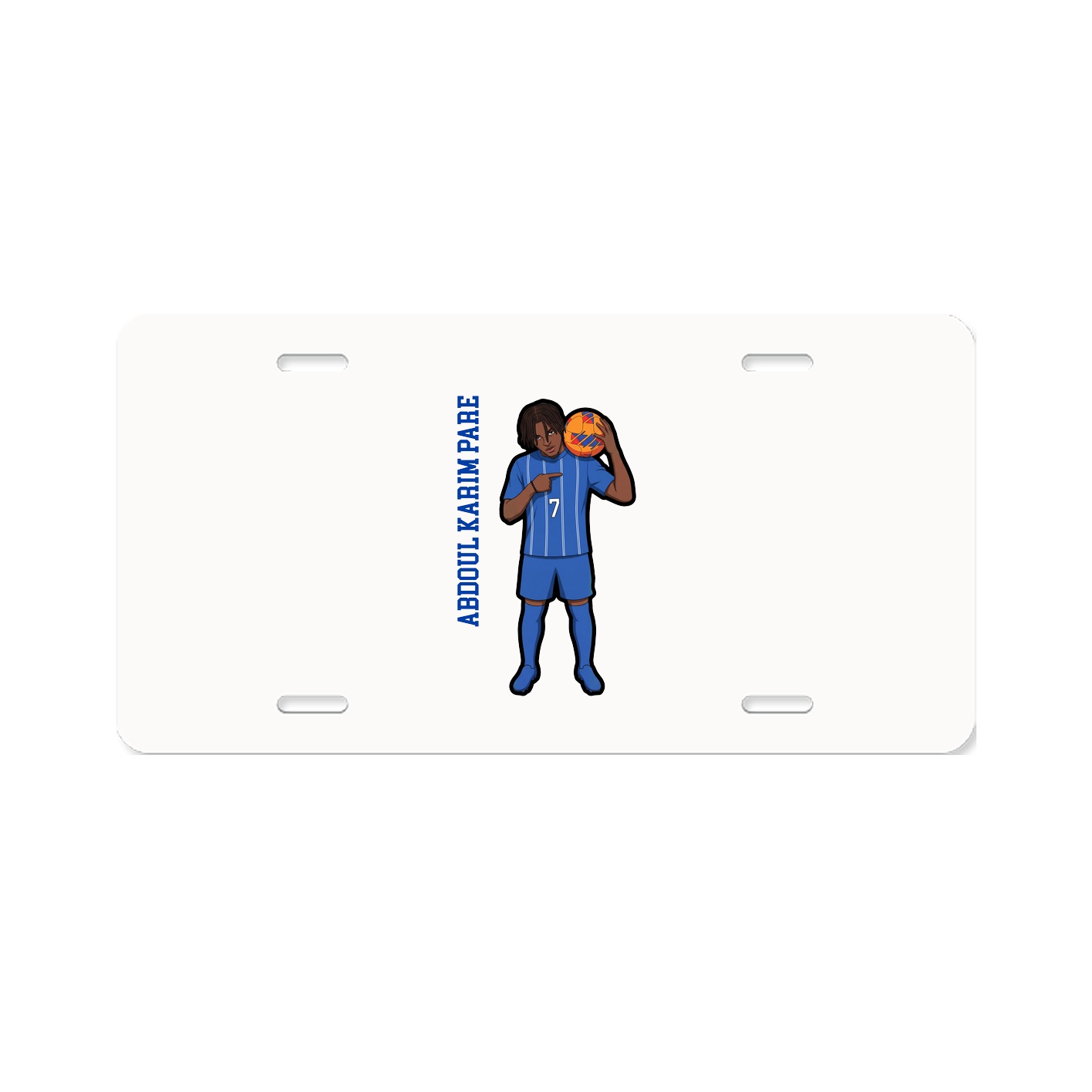 Aluminum License Plate