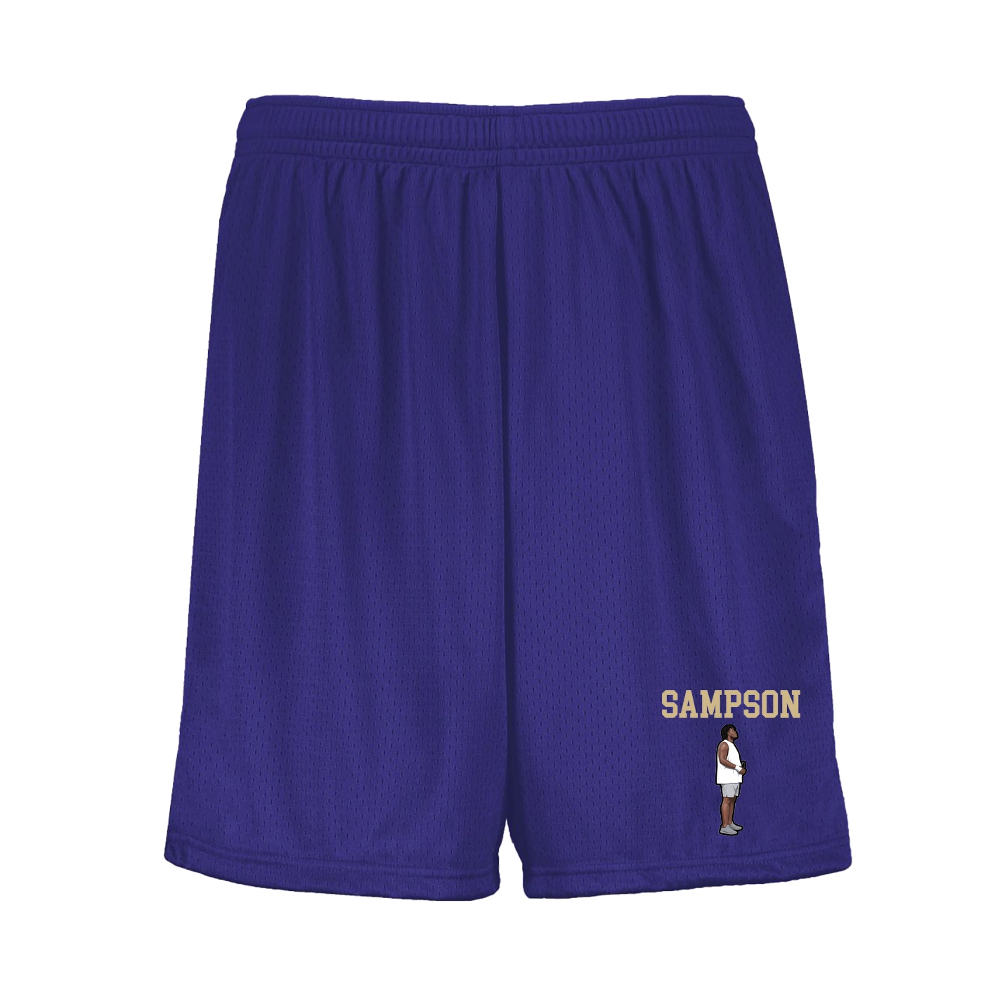 Shorts — Shirsey in Purple
