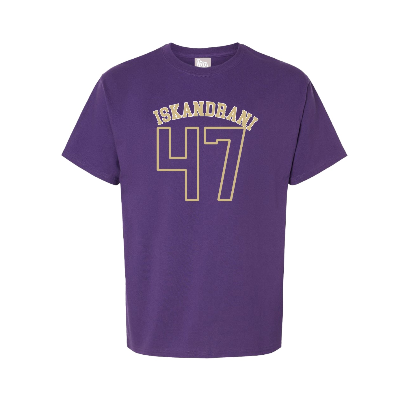Youth Tee — Shirsey Arch in Purple