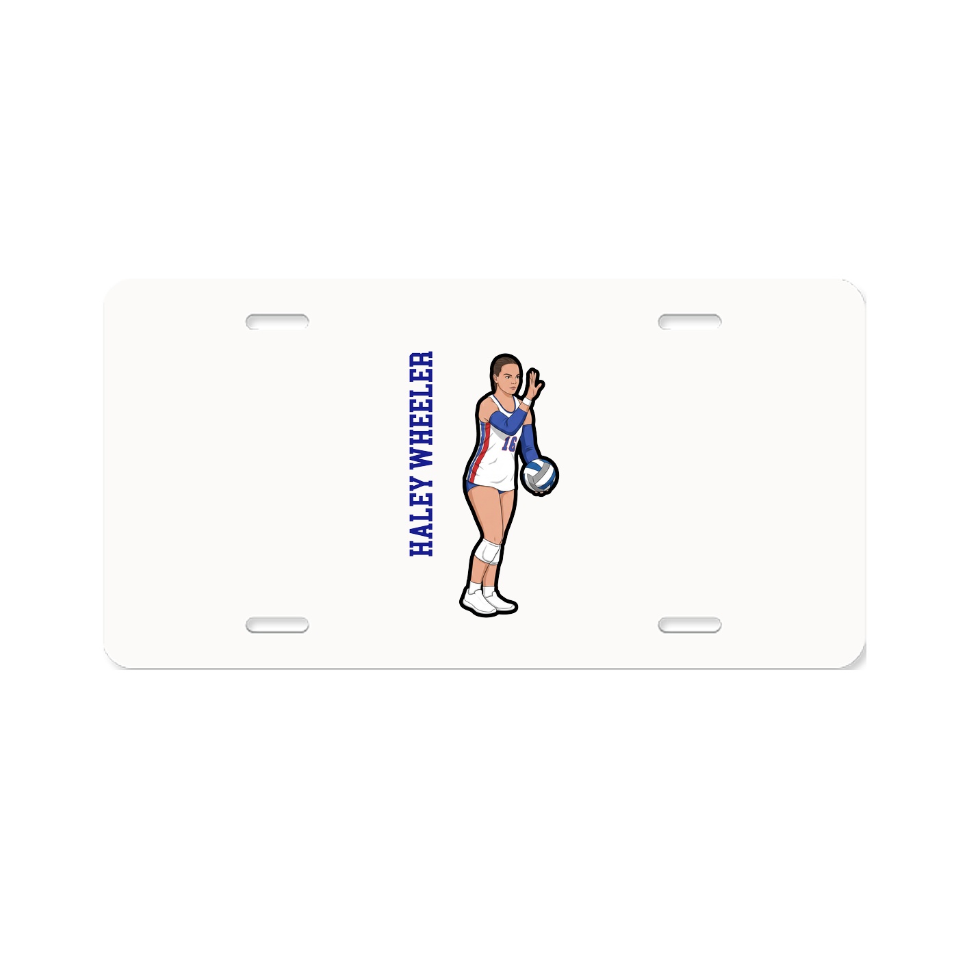 License Plate