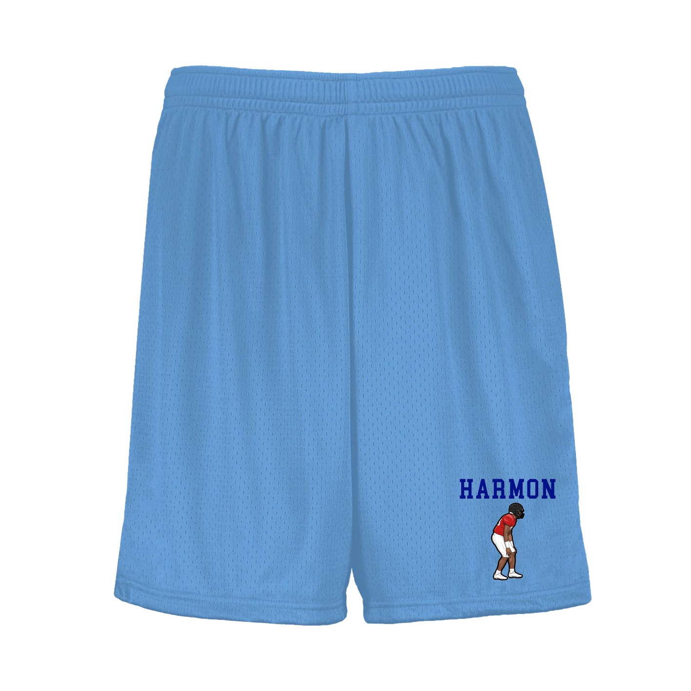 Shorts — Shirsey in Light Blue