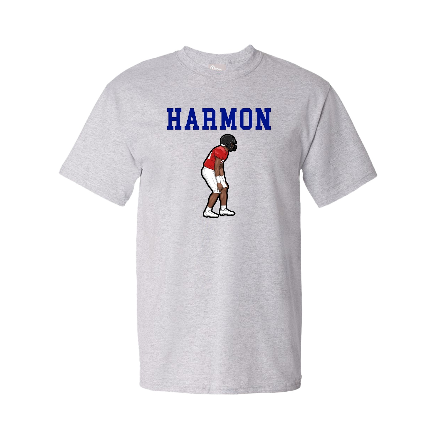 Tee — Shirsey in Grey