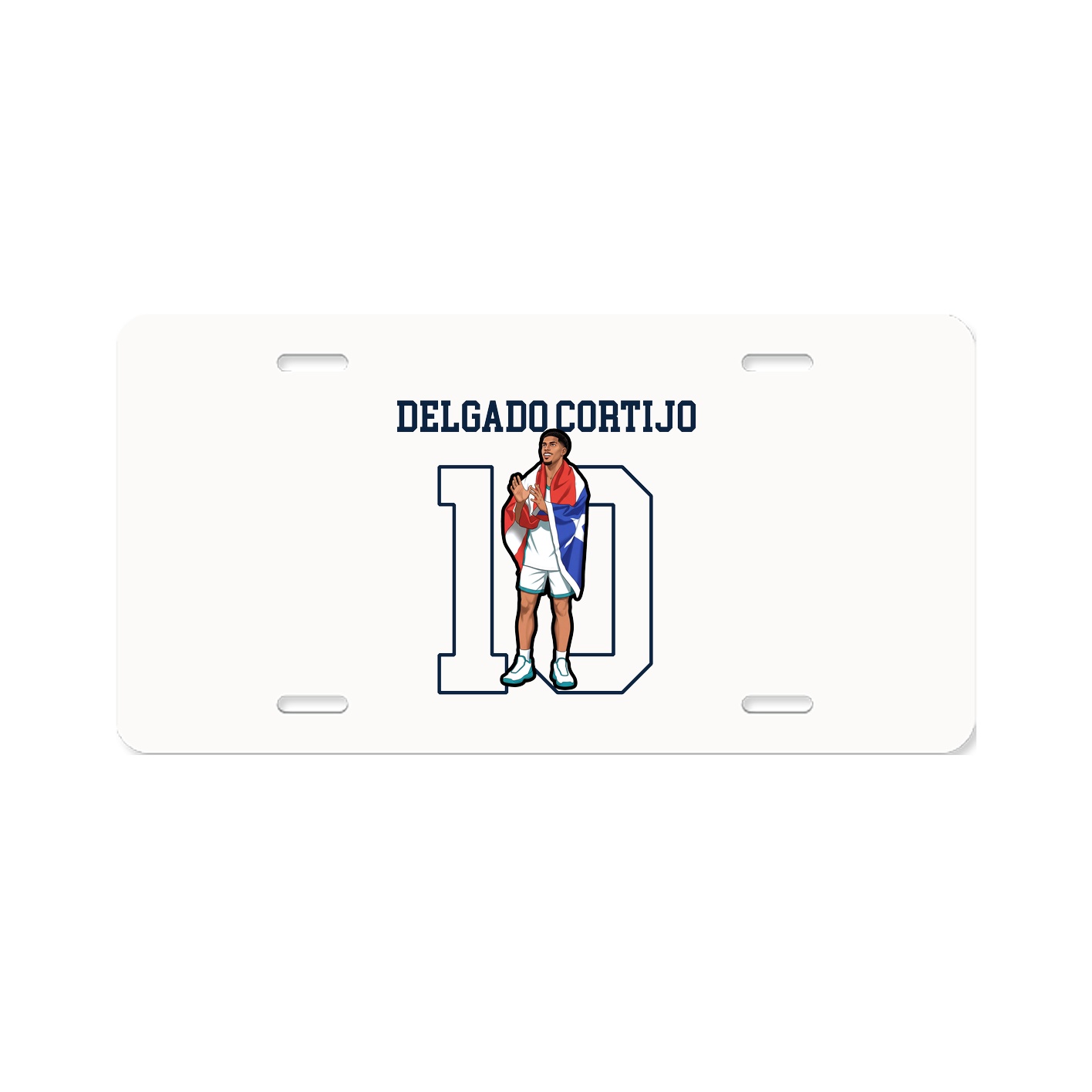 License Plate