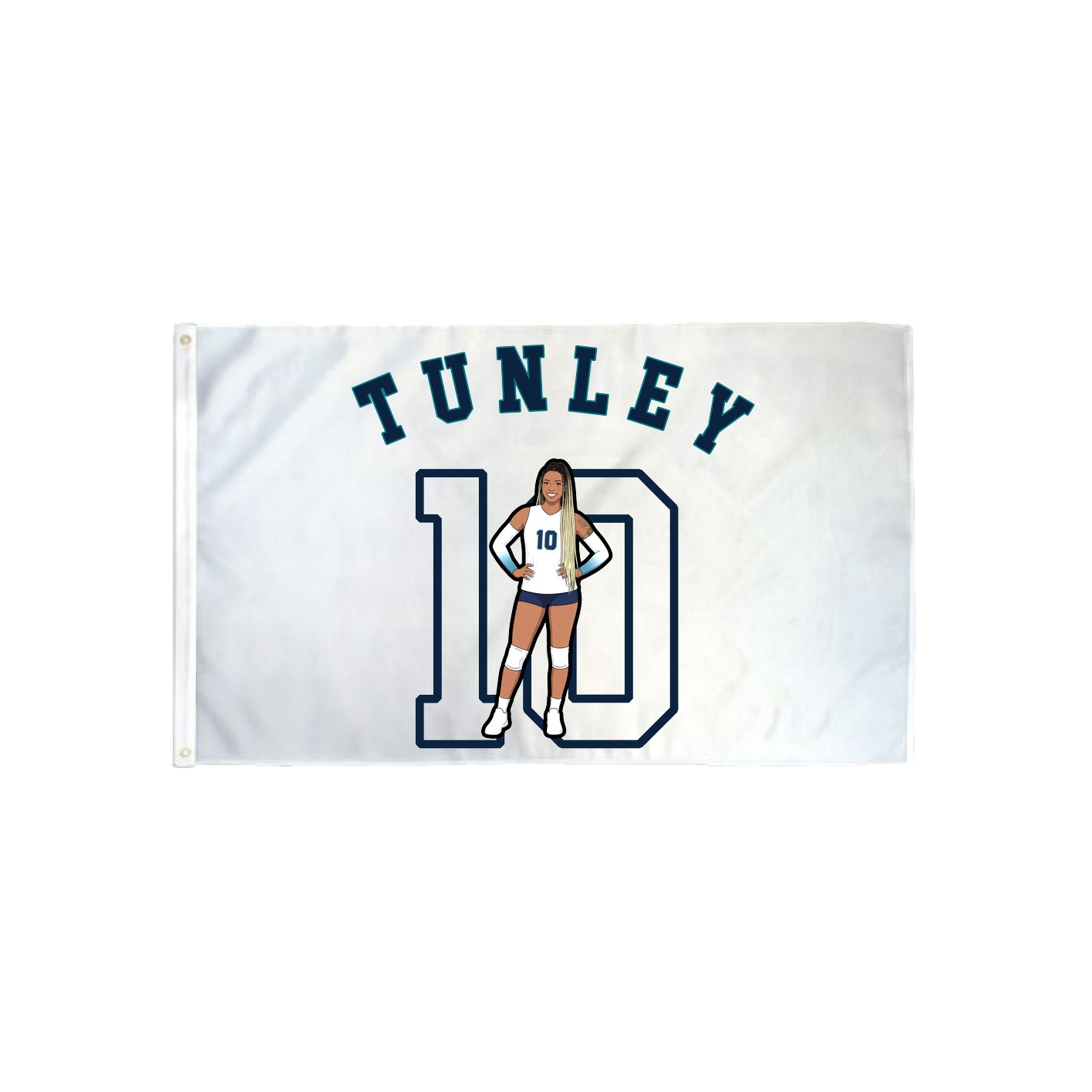 3x5 Flag — Shirsey Arch in Classic