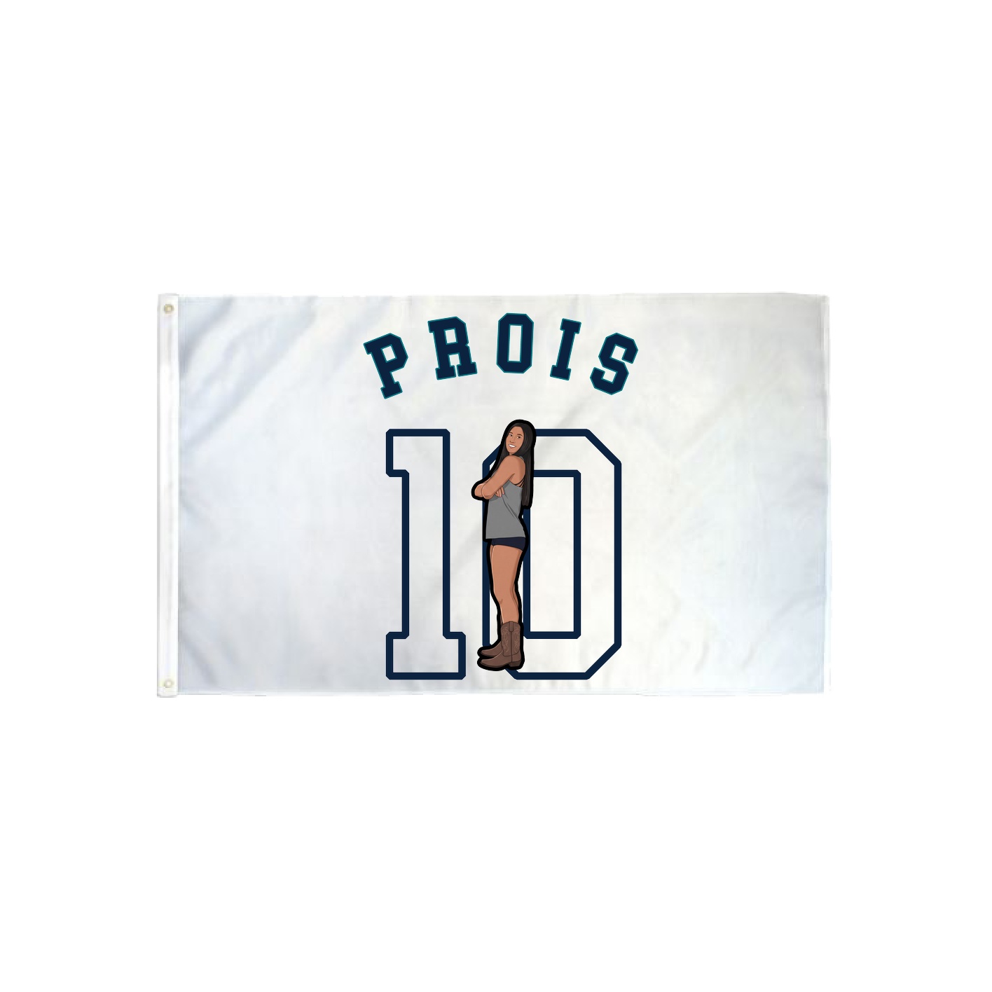 3x5 Flag — Shirsey Arch in Classic