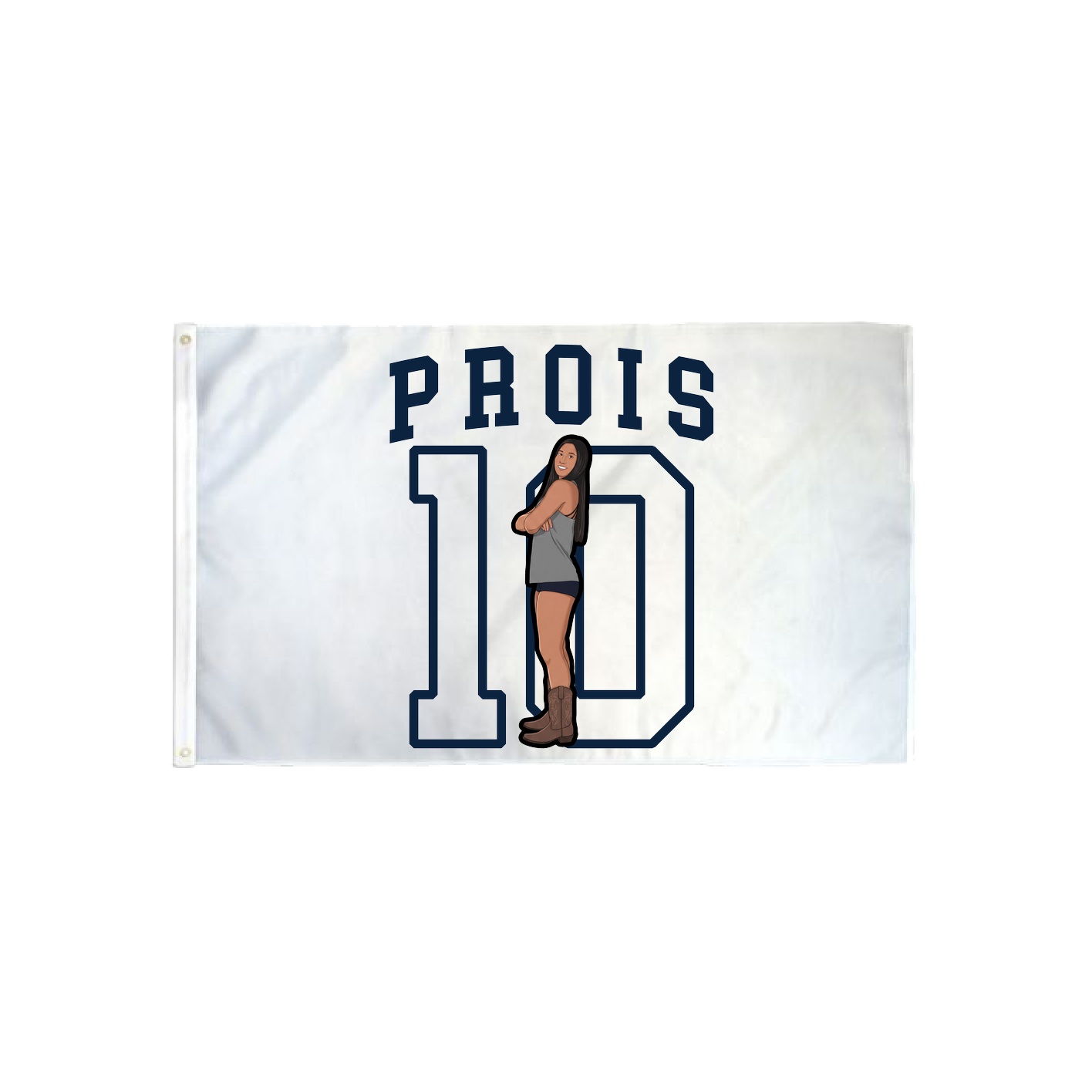 3x5 Flag — Shirsey in Classic