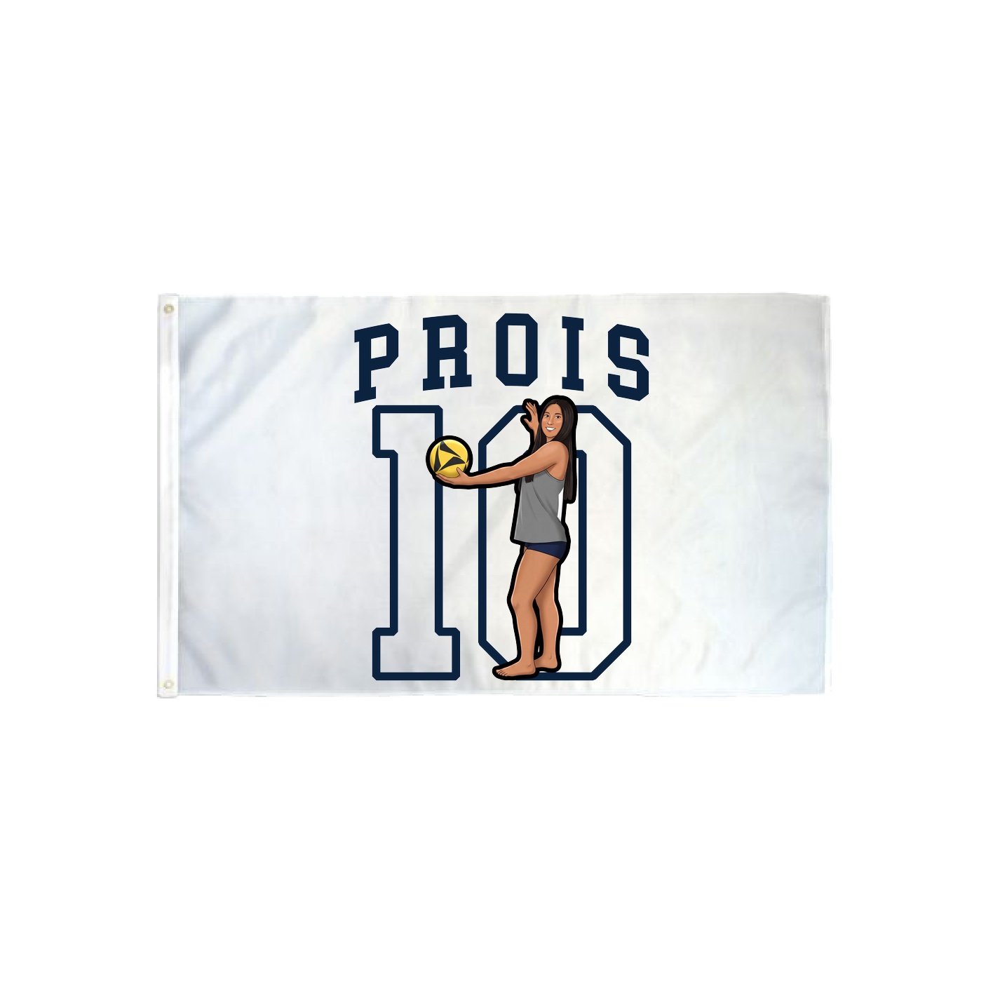 3x5 Flag — Shirsey in Classic