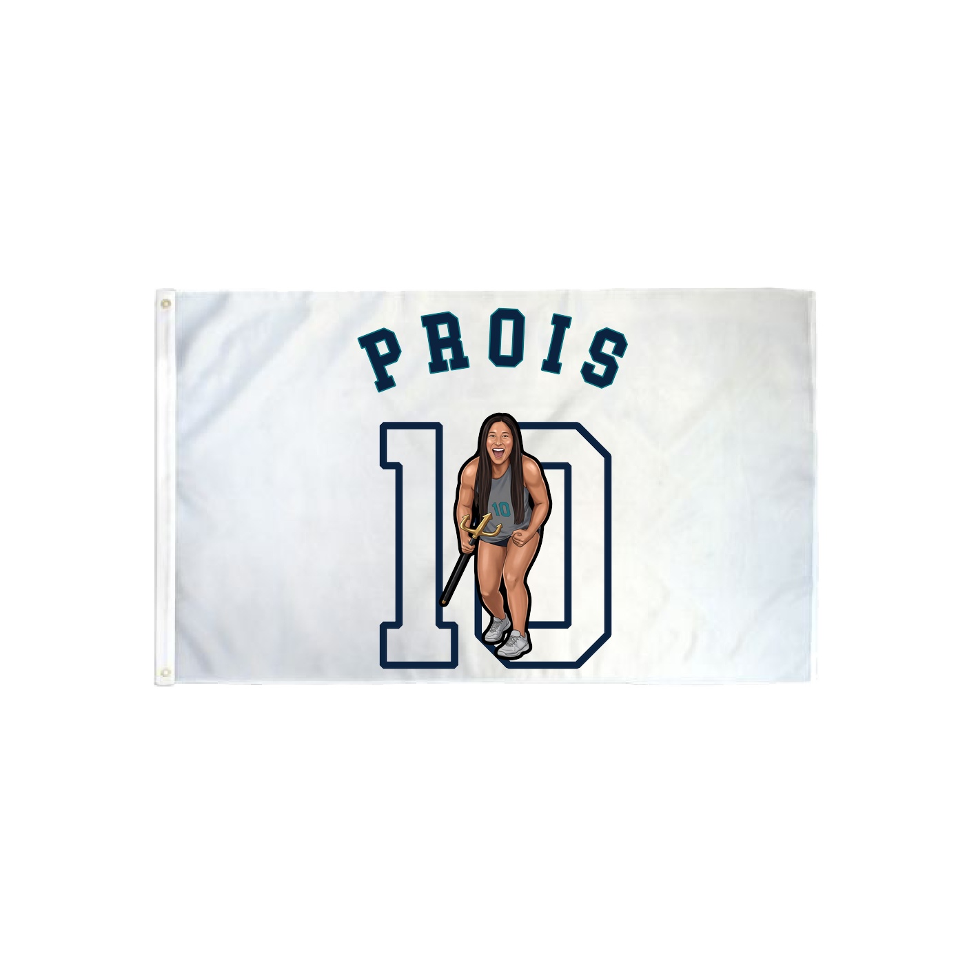 3x5 Flag — Shirsey Arch in Classic