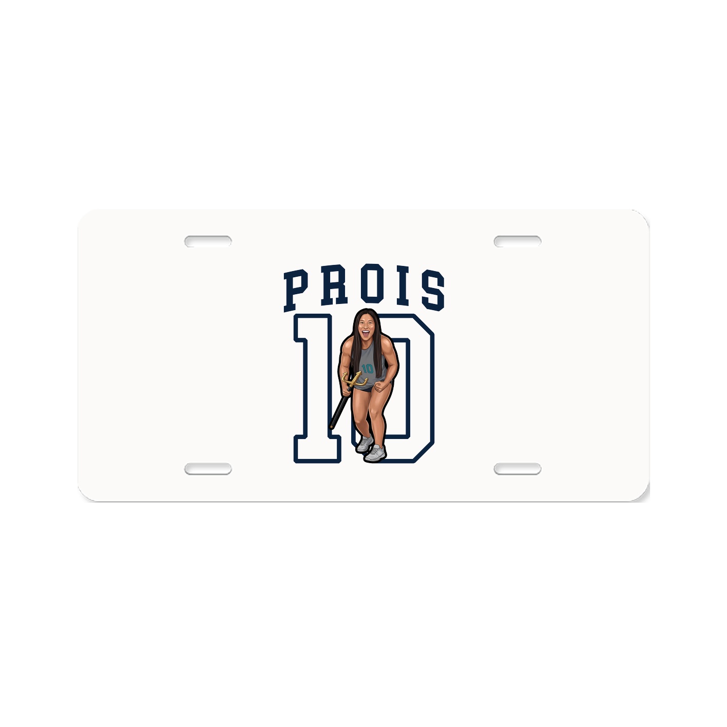 Aluminum License Plate