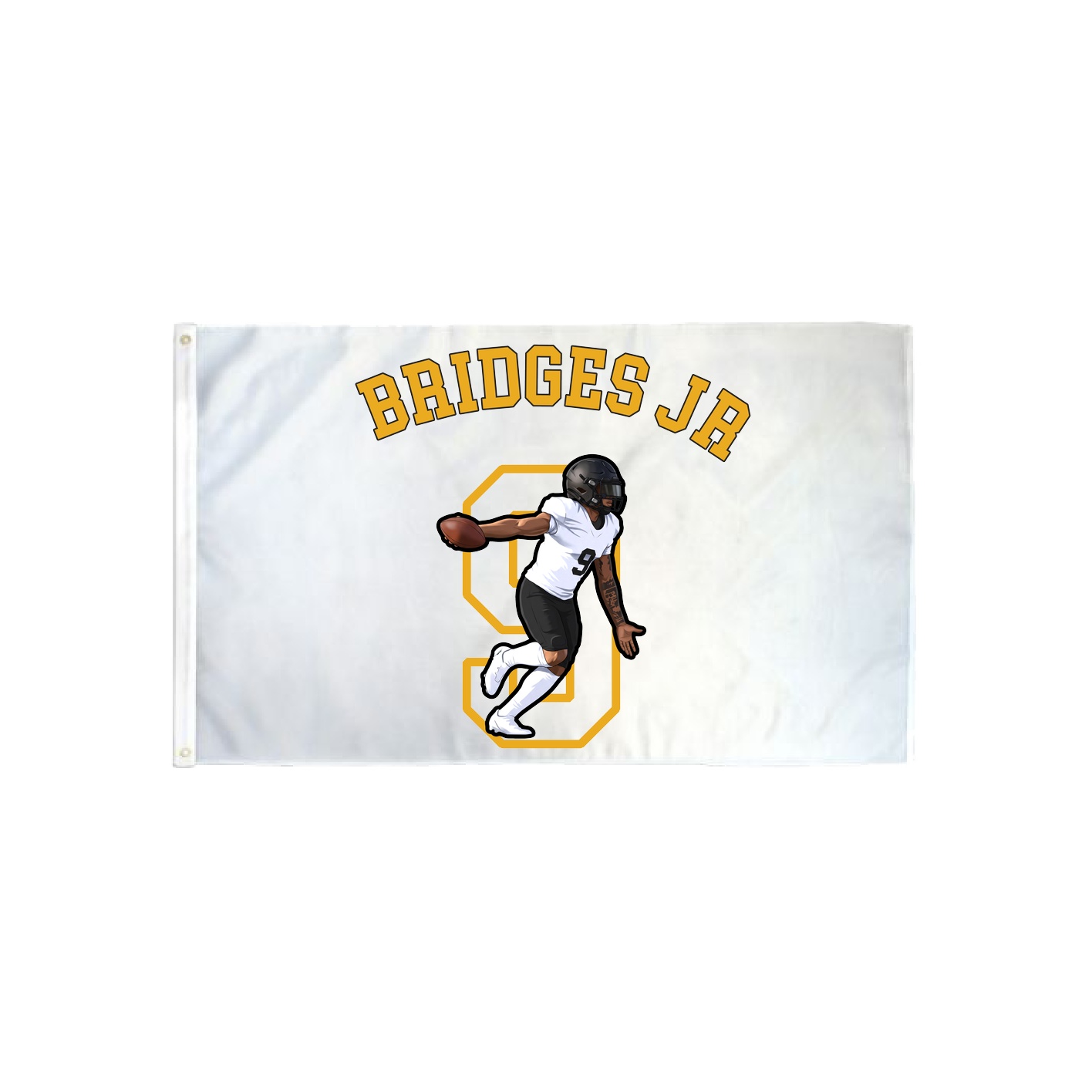 3x5 Flag — Shirsey Arch in Classic