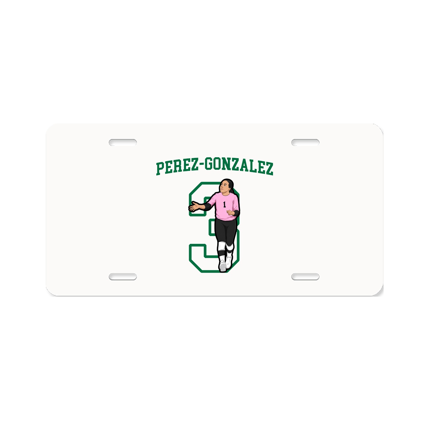 Aluminum License Plate