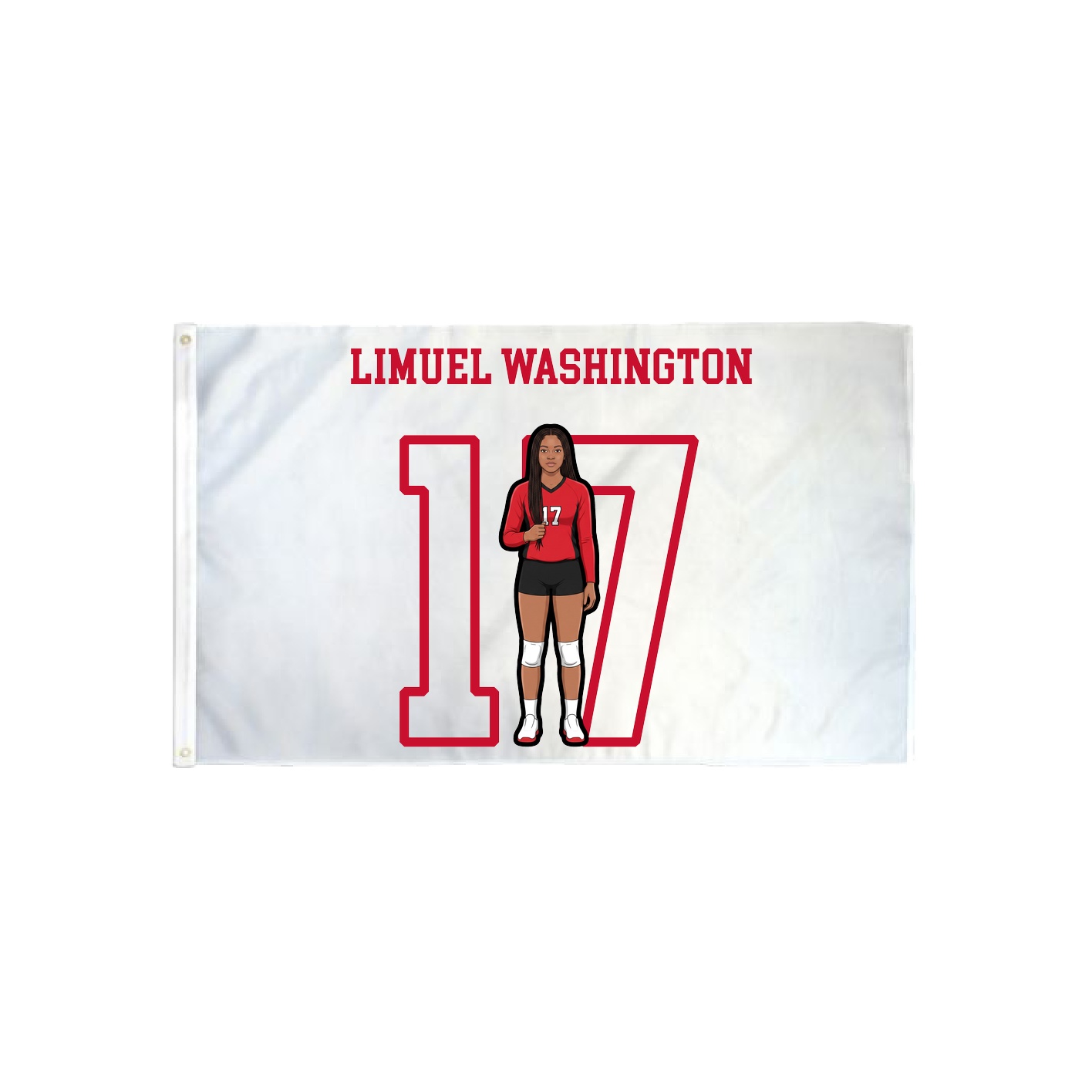 3x5 Flag — Shirsey in Classic