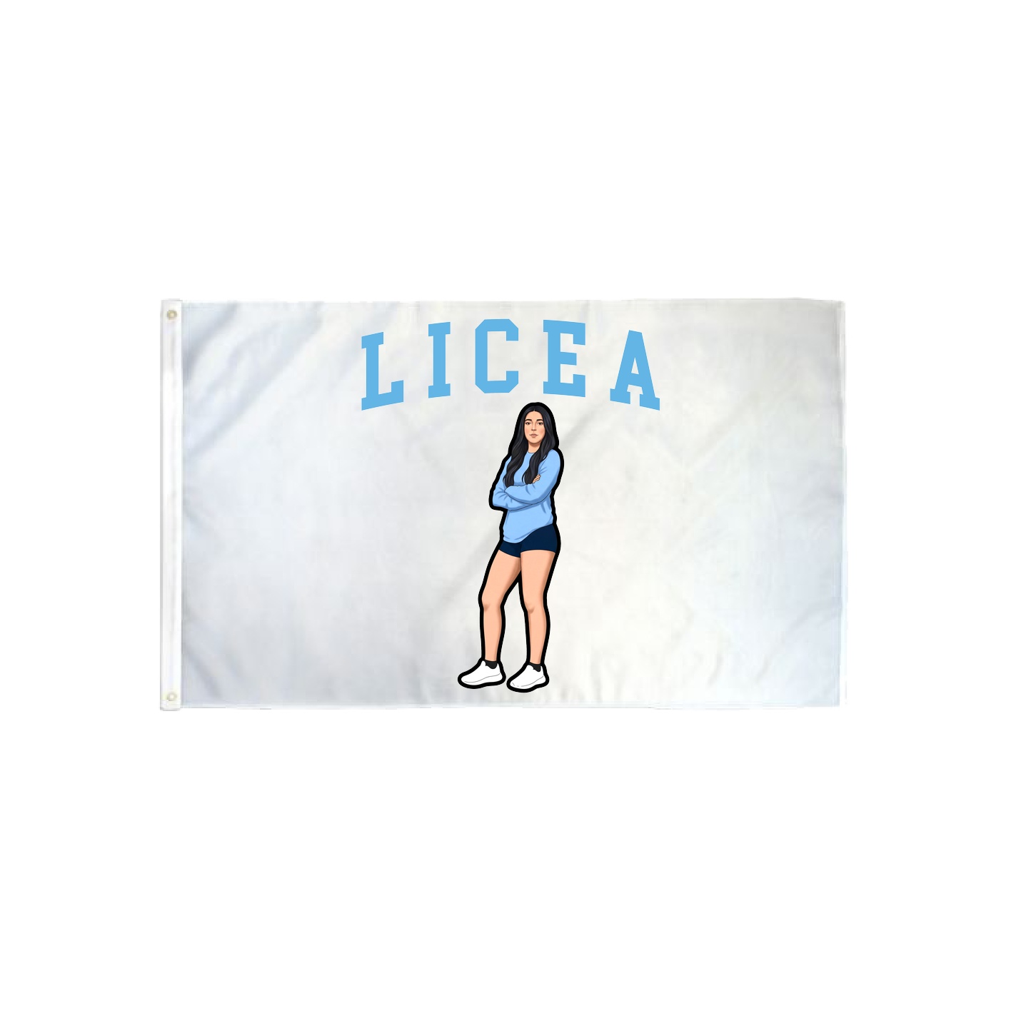 3x5 Flag — Shirsey in Classic