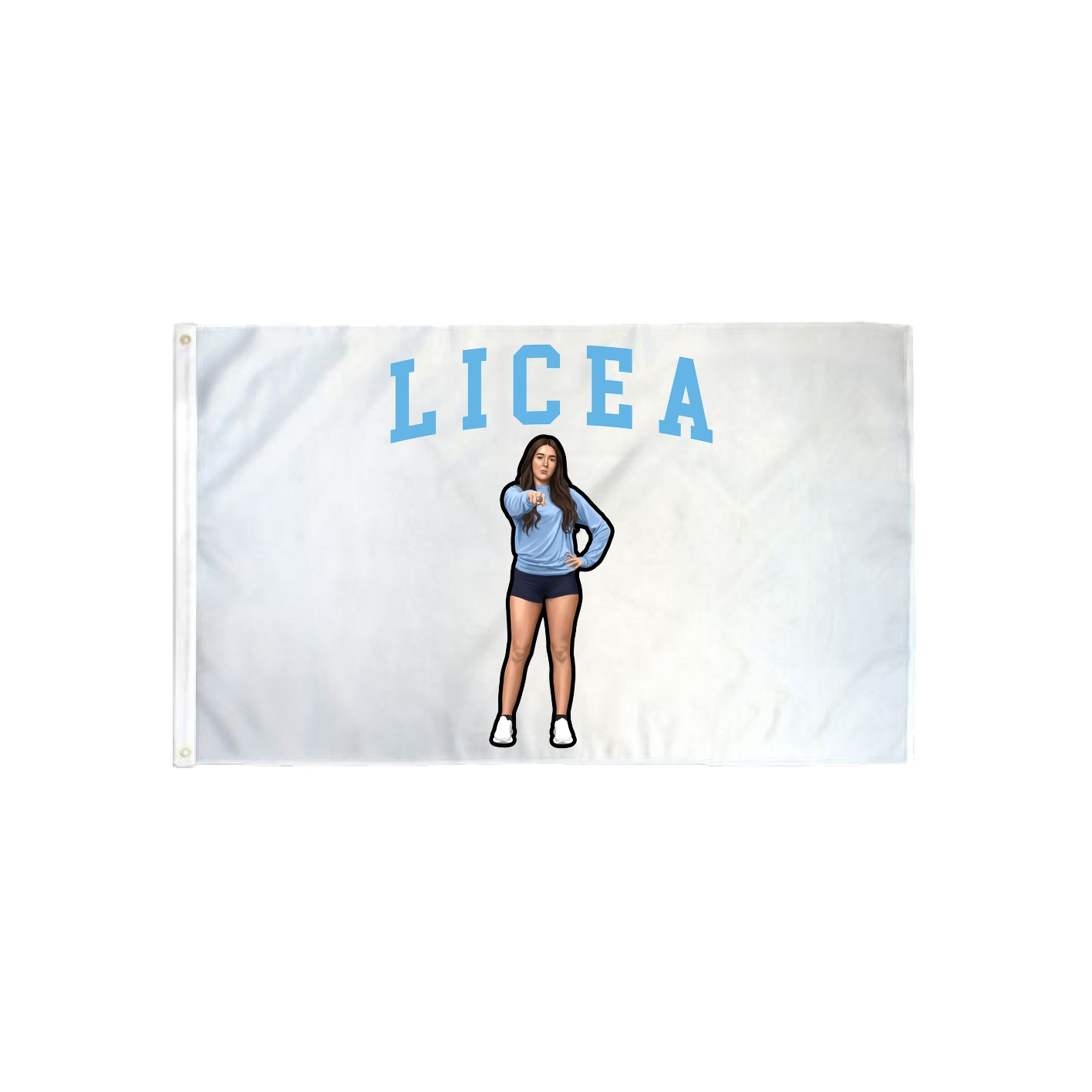 3x5 Flag — Shirsey in Classic