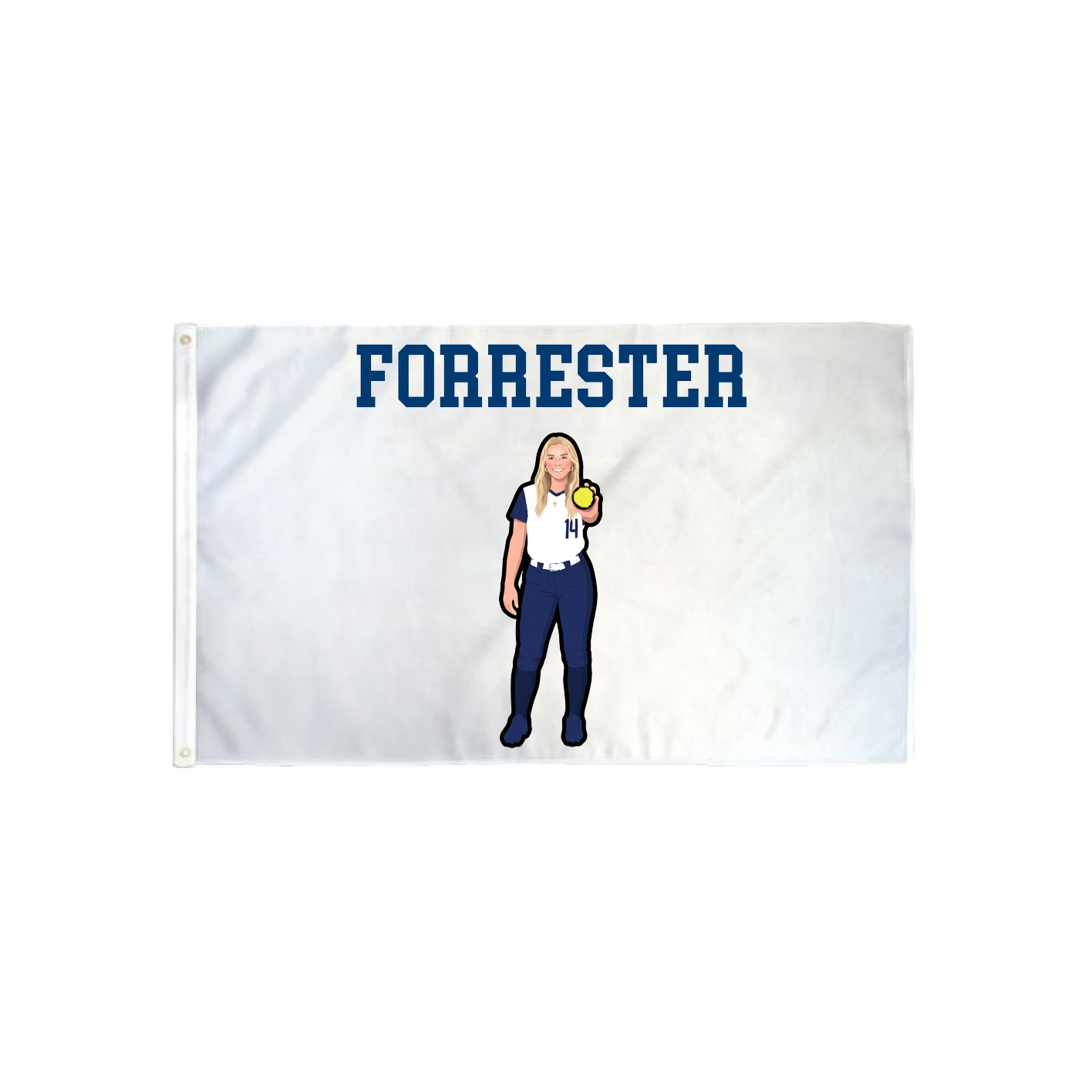 3x5 Flag — Shirsey in Classic
