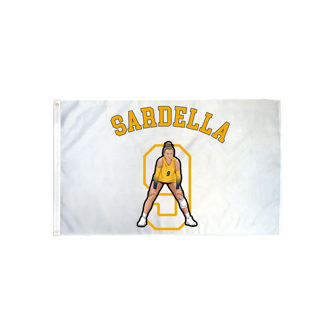 3x5 Flag — Shirsey Arch in Classic