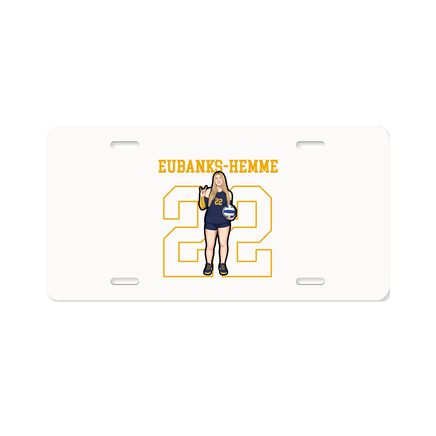 License Plate