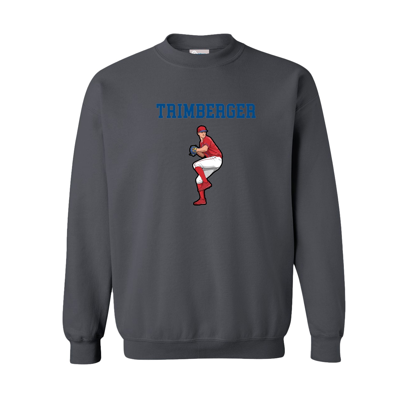 Fleece Crew — Shirsey in Grey