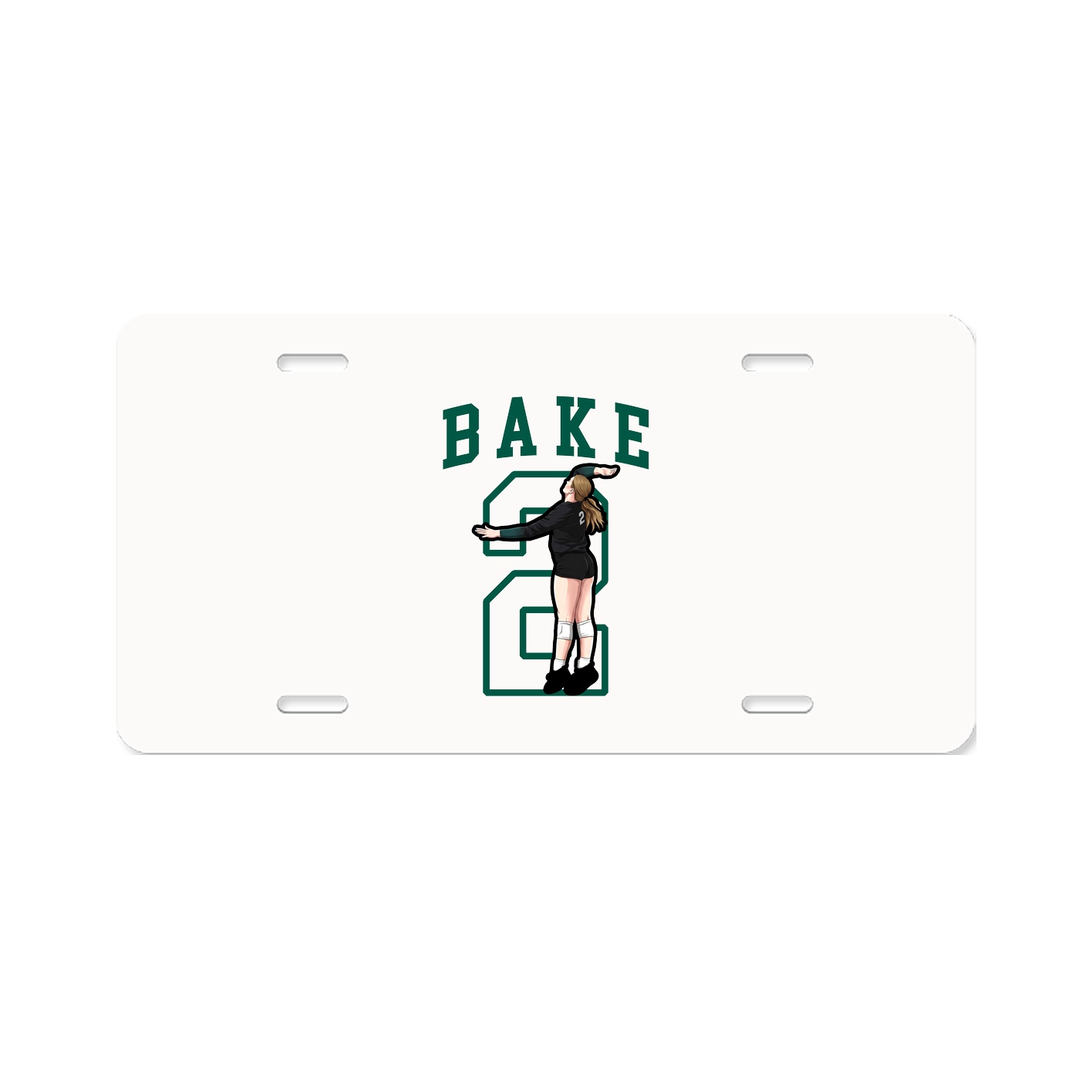 Aluminum License Plate
