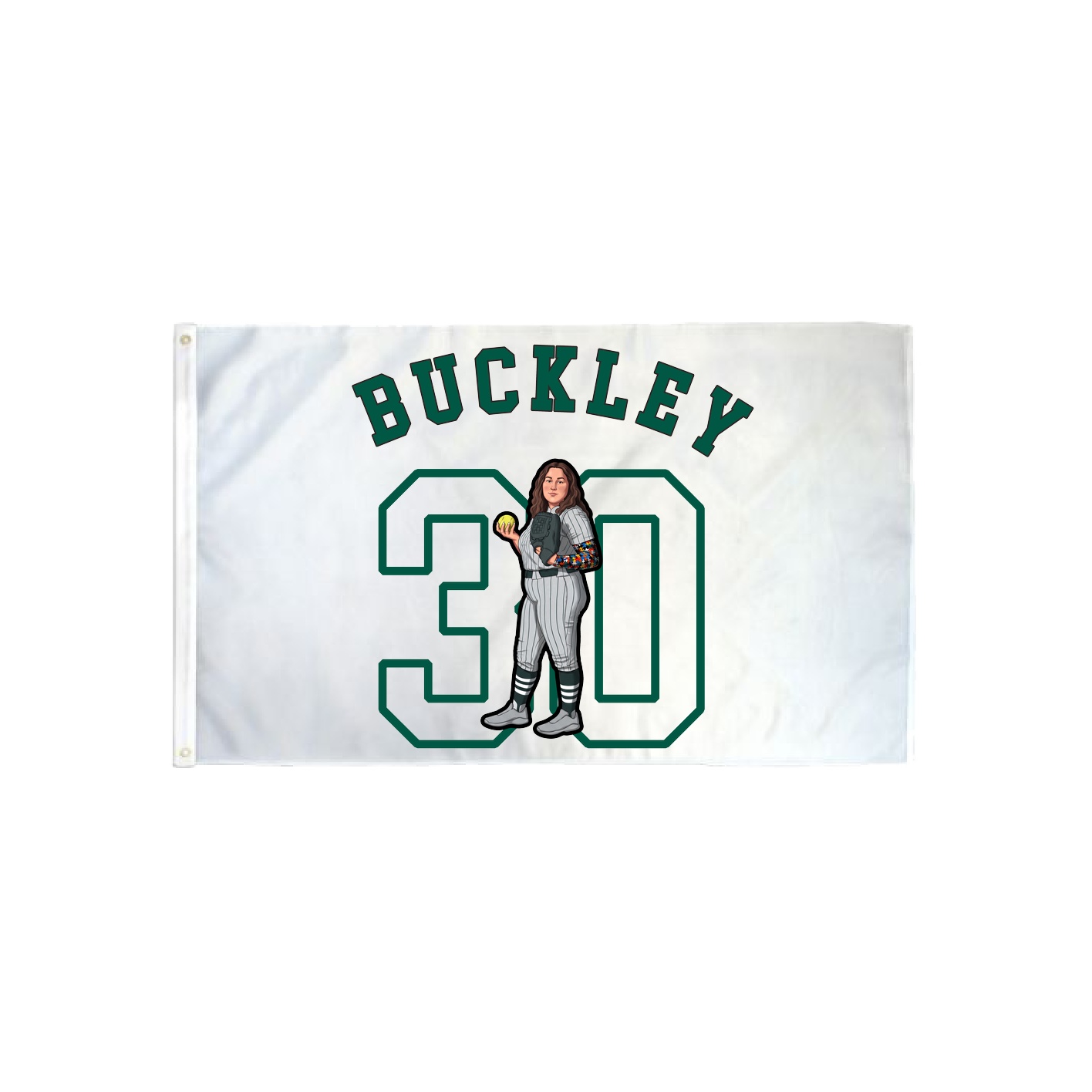 3x5 Flag — Shirsey Arch in Classic