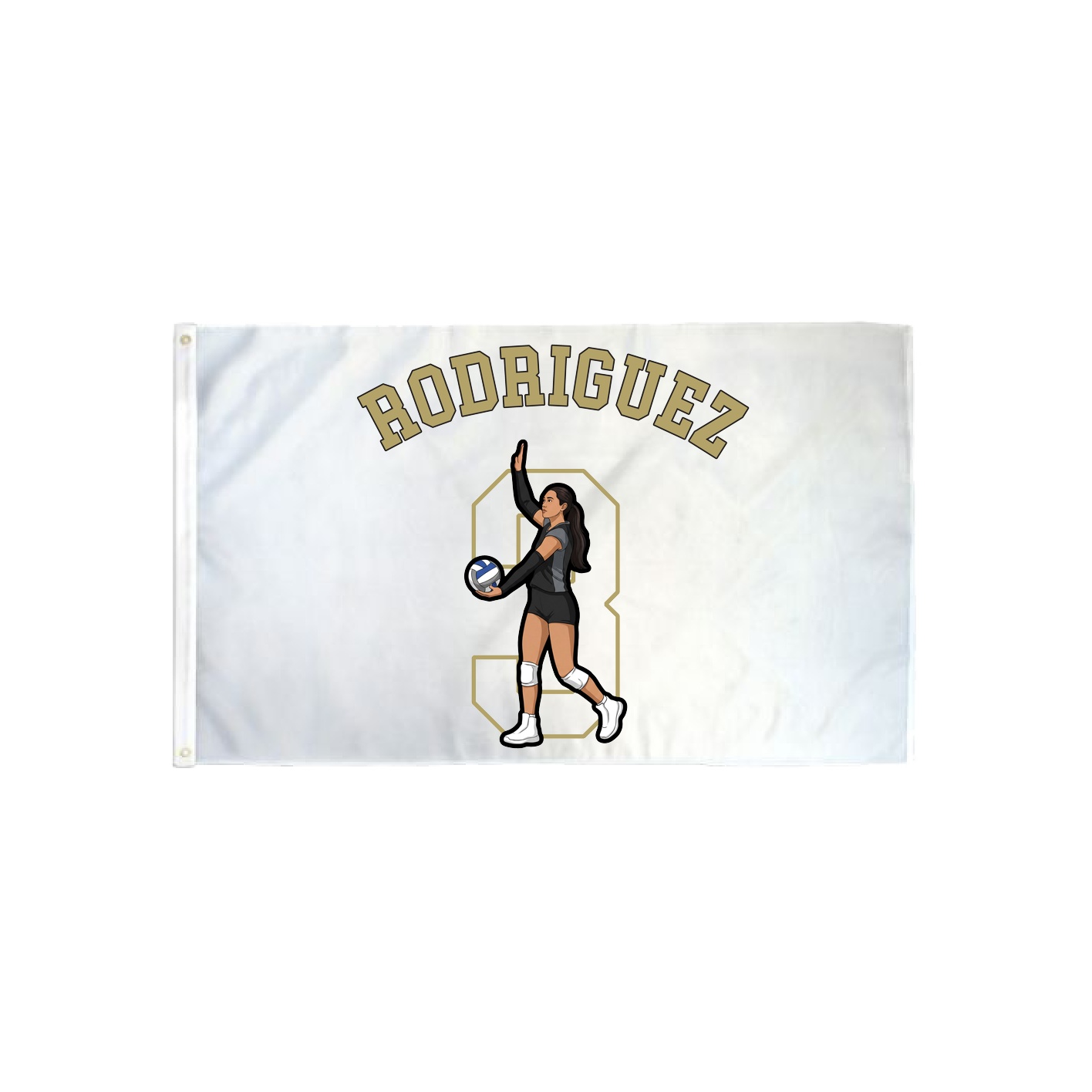 3x5 Flag — Shirsey Arch in Classic