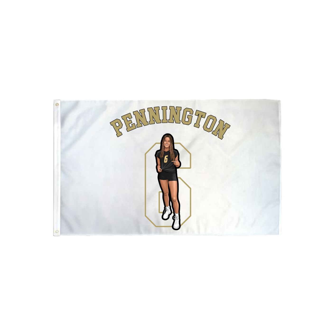 3x5 Flag — Shirsey Arch in Classic