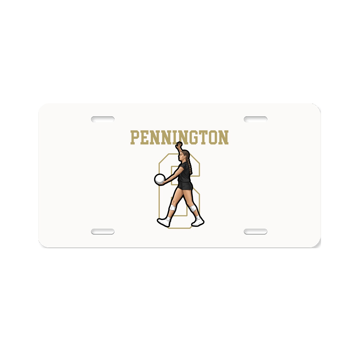 License Plate