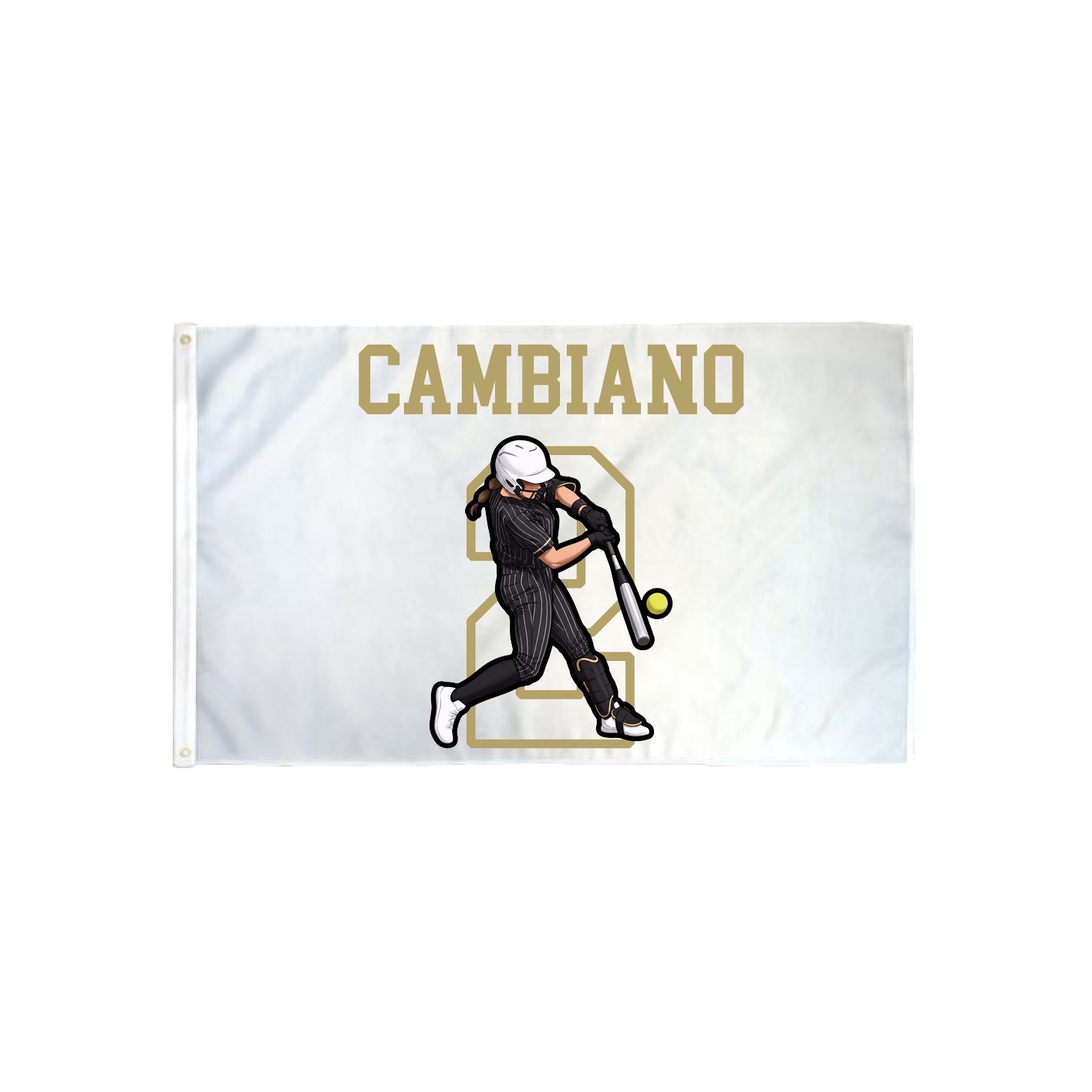 3x5 Flag — Shirsey in Classic