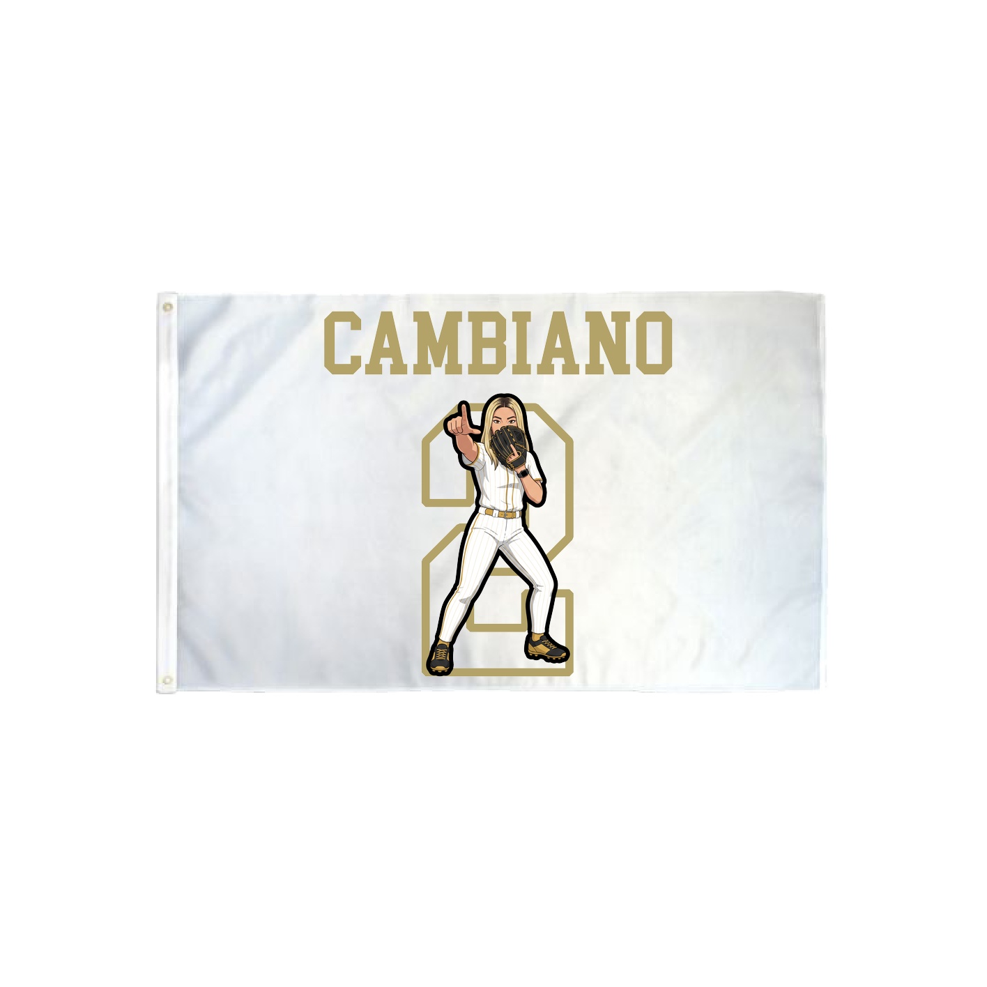 3x5 Flag — Shirsey in Classic