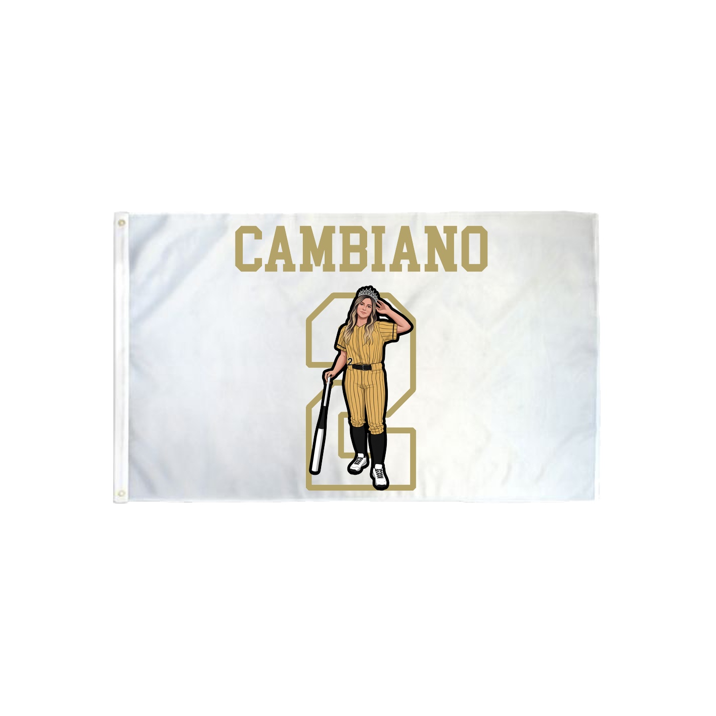 3x5 Flag — Shirsey in Classic