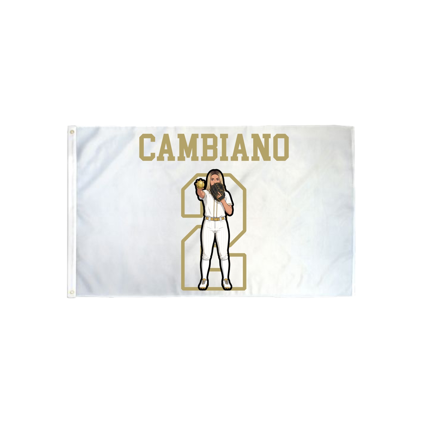 3x5 Flag — Shirsey in Classic