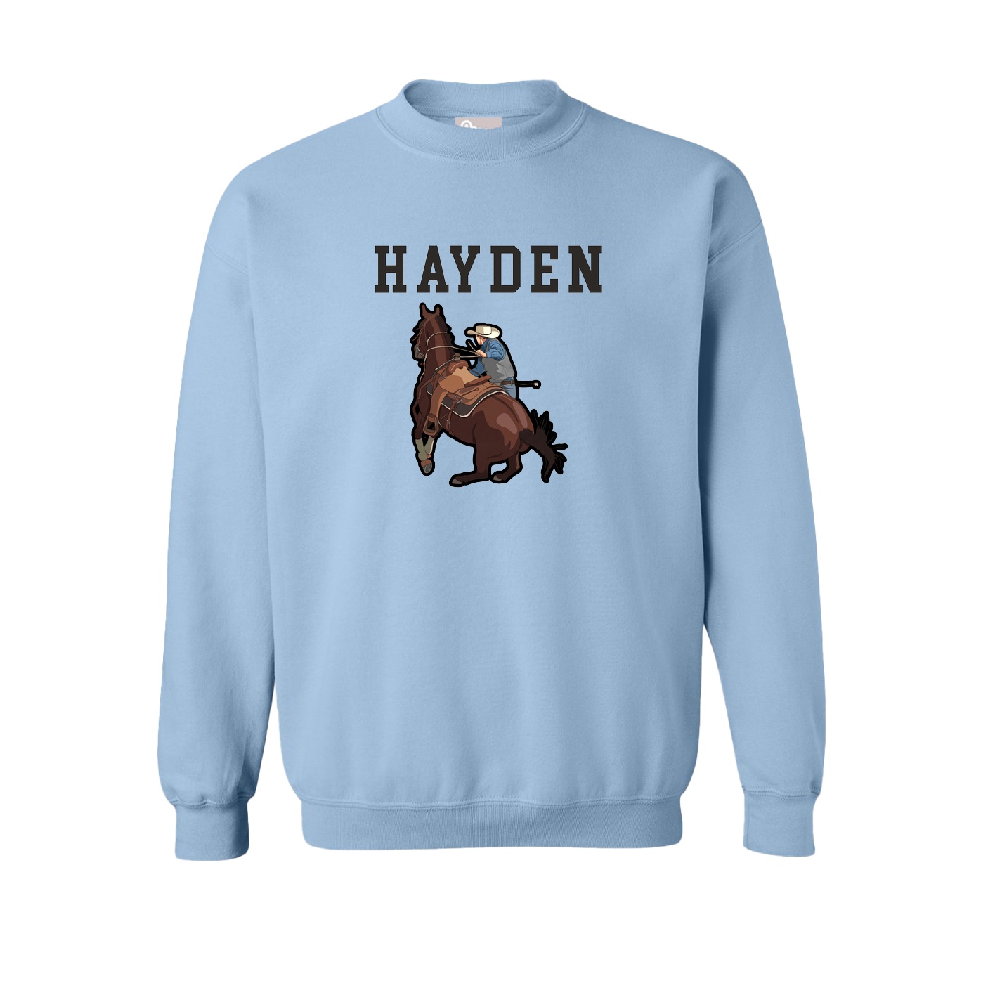 Fleece Crew — Shirsey in Light Blue