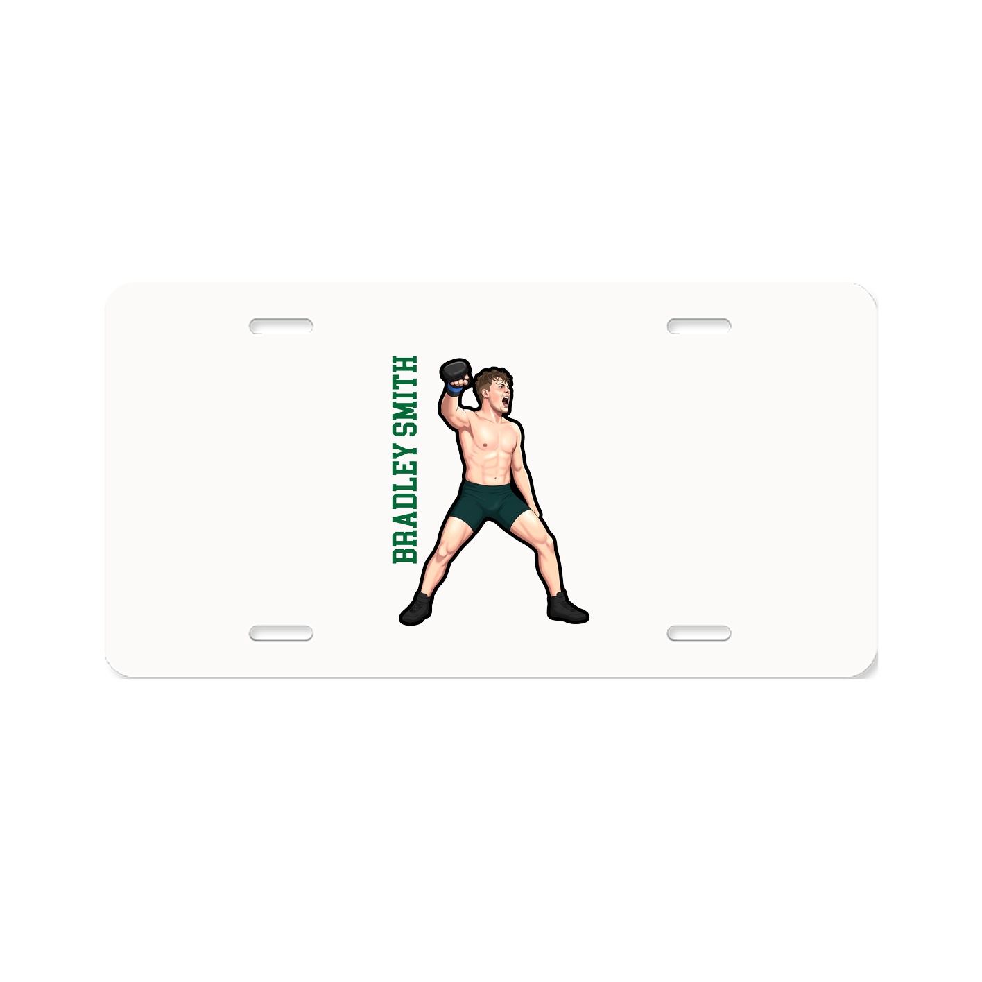 Aluminum License Plate